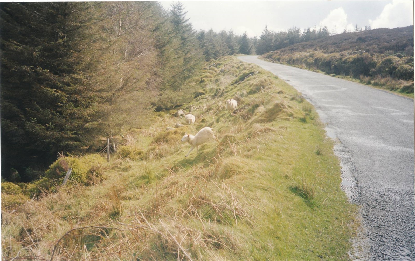 Foto di viaggio in IRLANDA