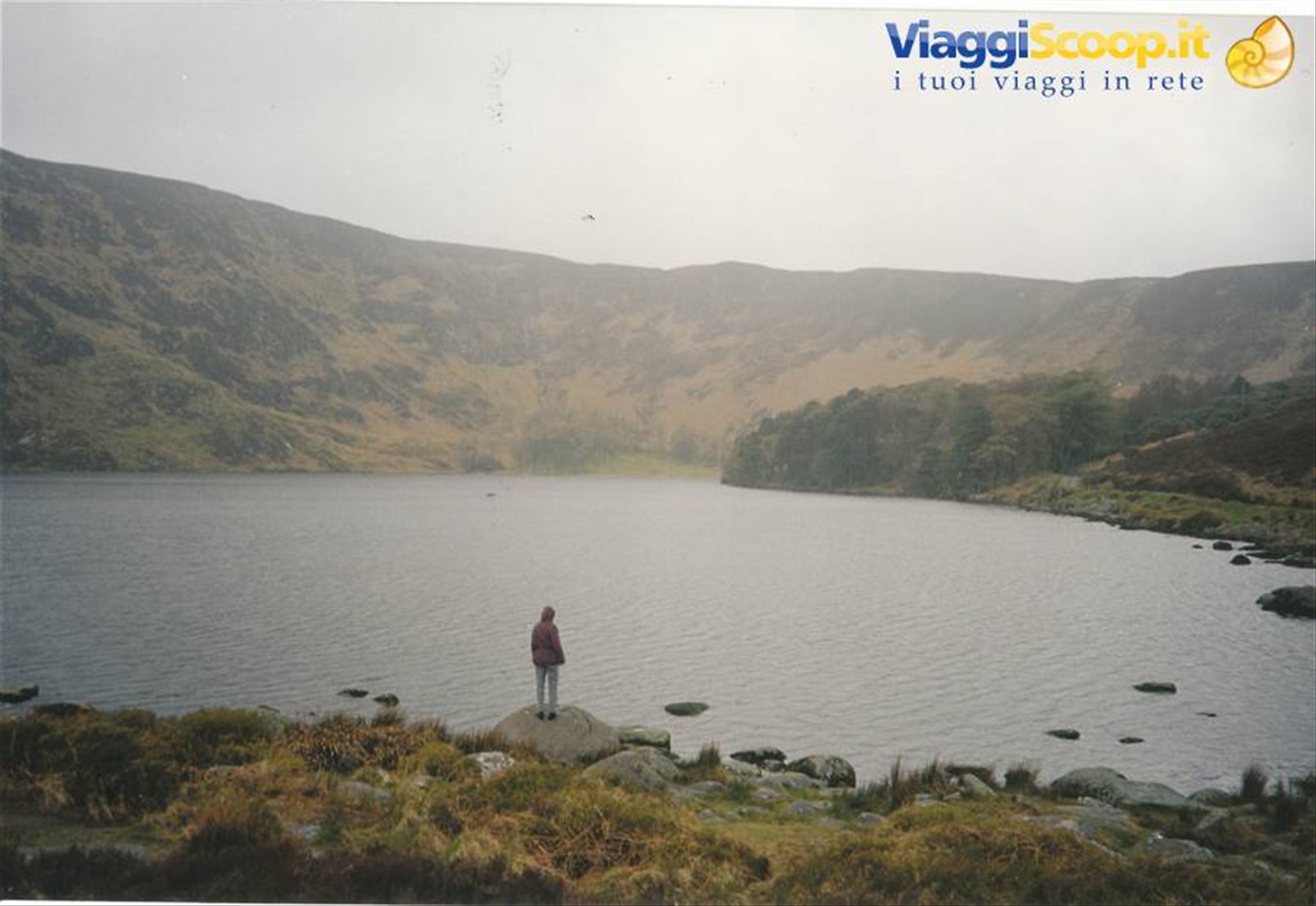 lago wicklow