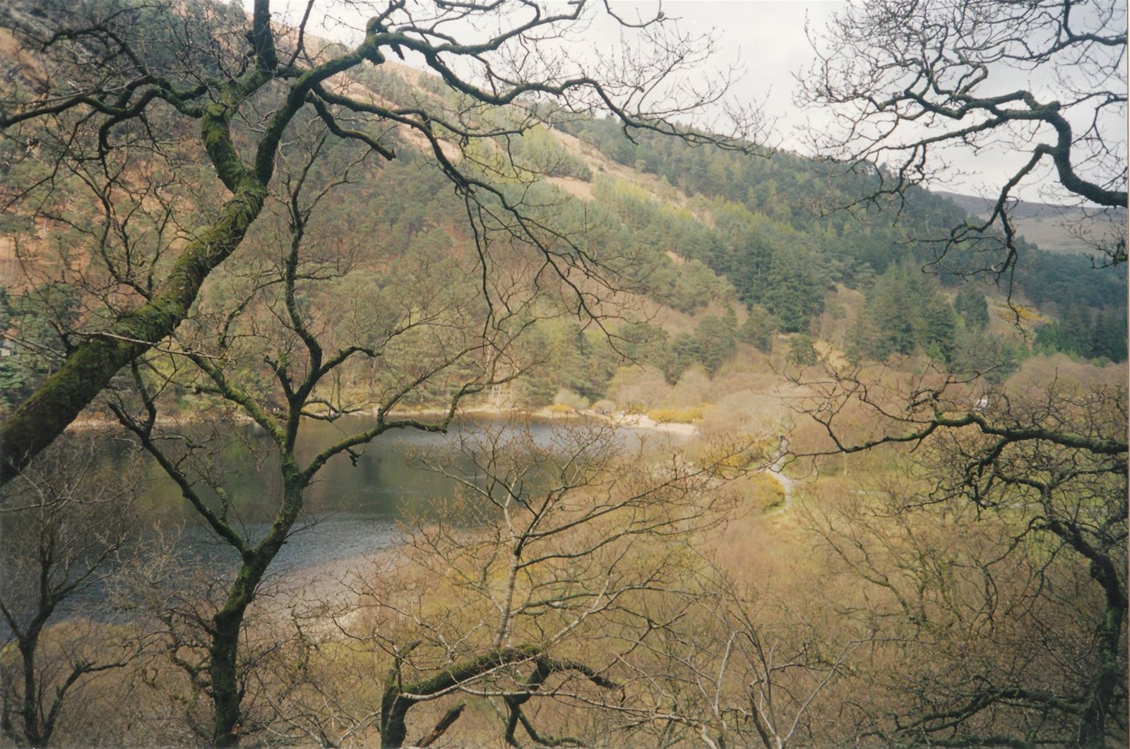 Foto di viaggio in IRLANDA