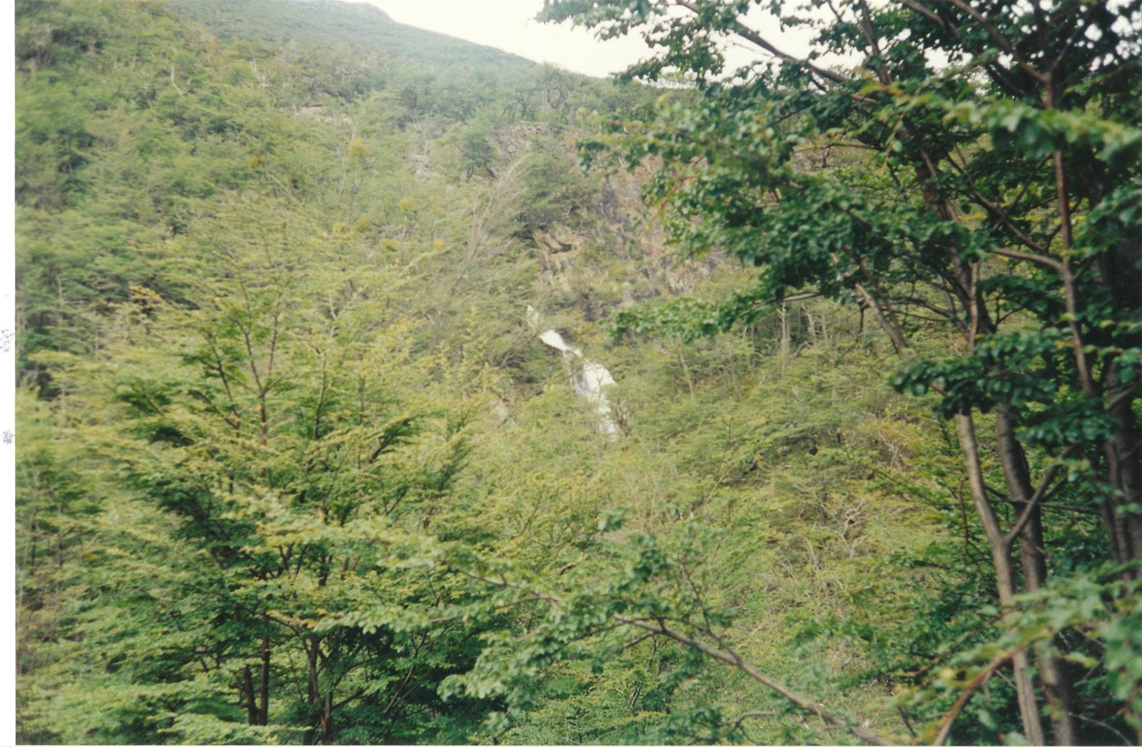 cascata Velo de novia