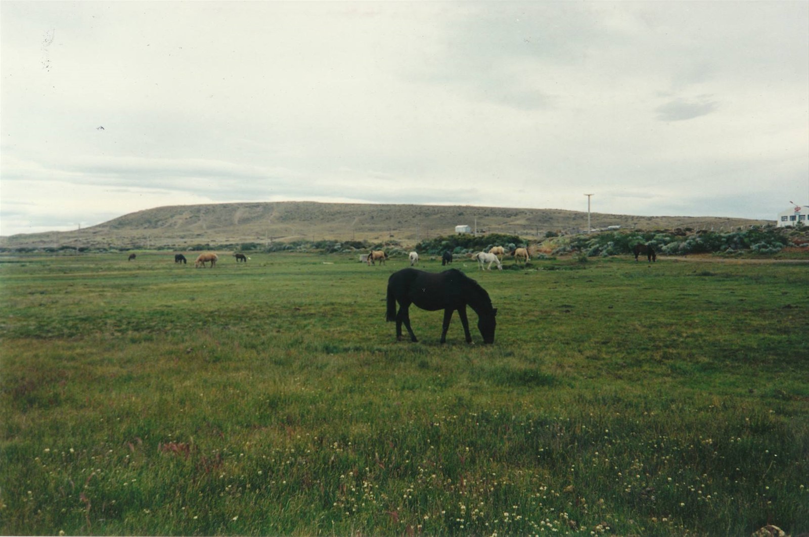 Foto di viaggio in ARGENTINA