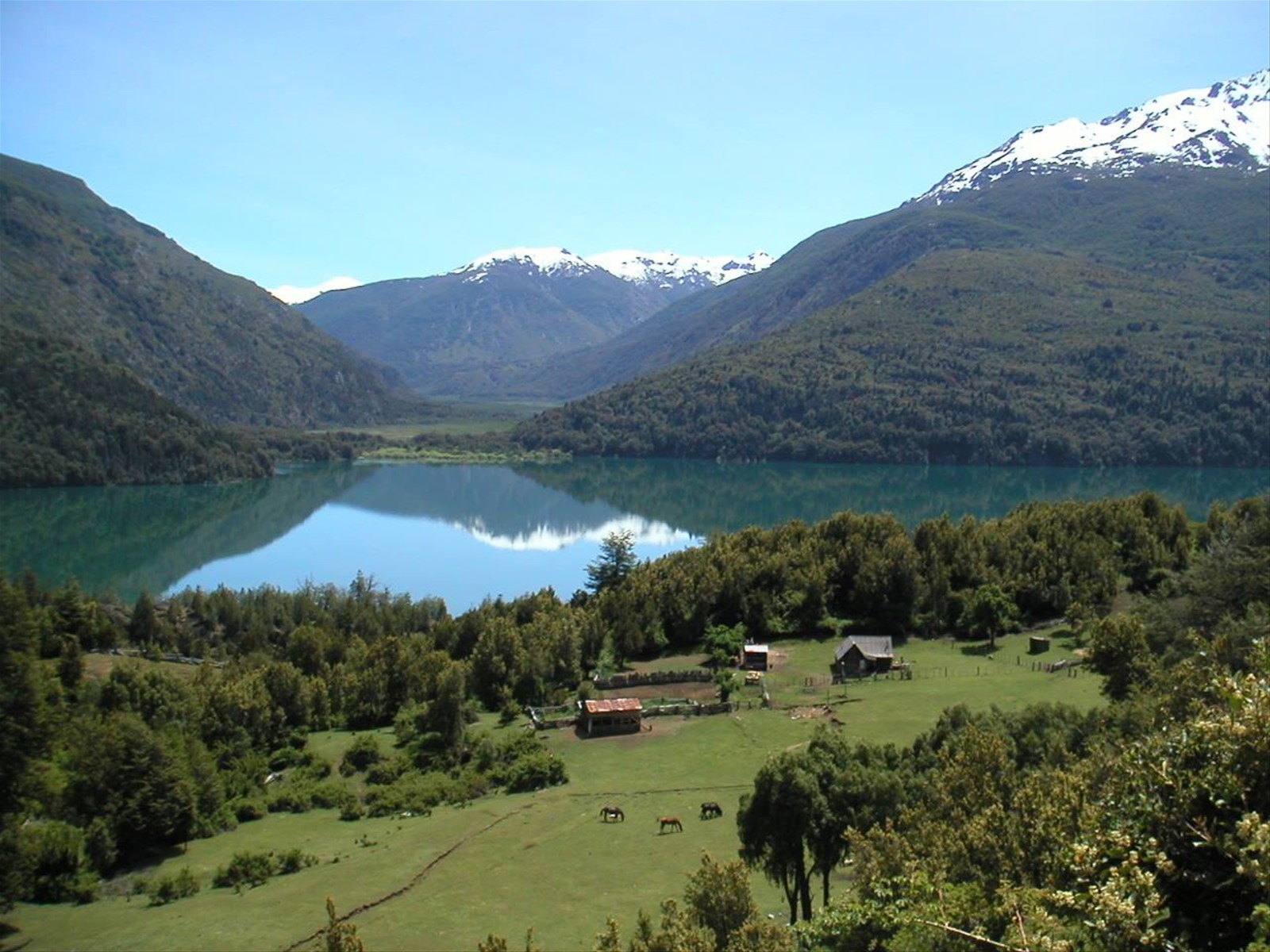 Chubut, P.N. Los Alerces