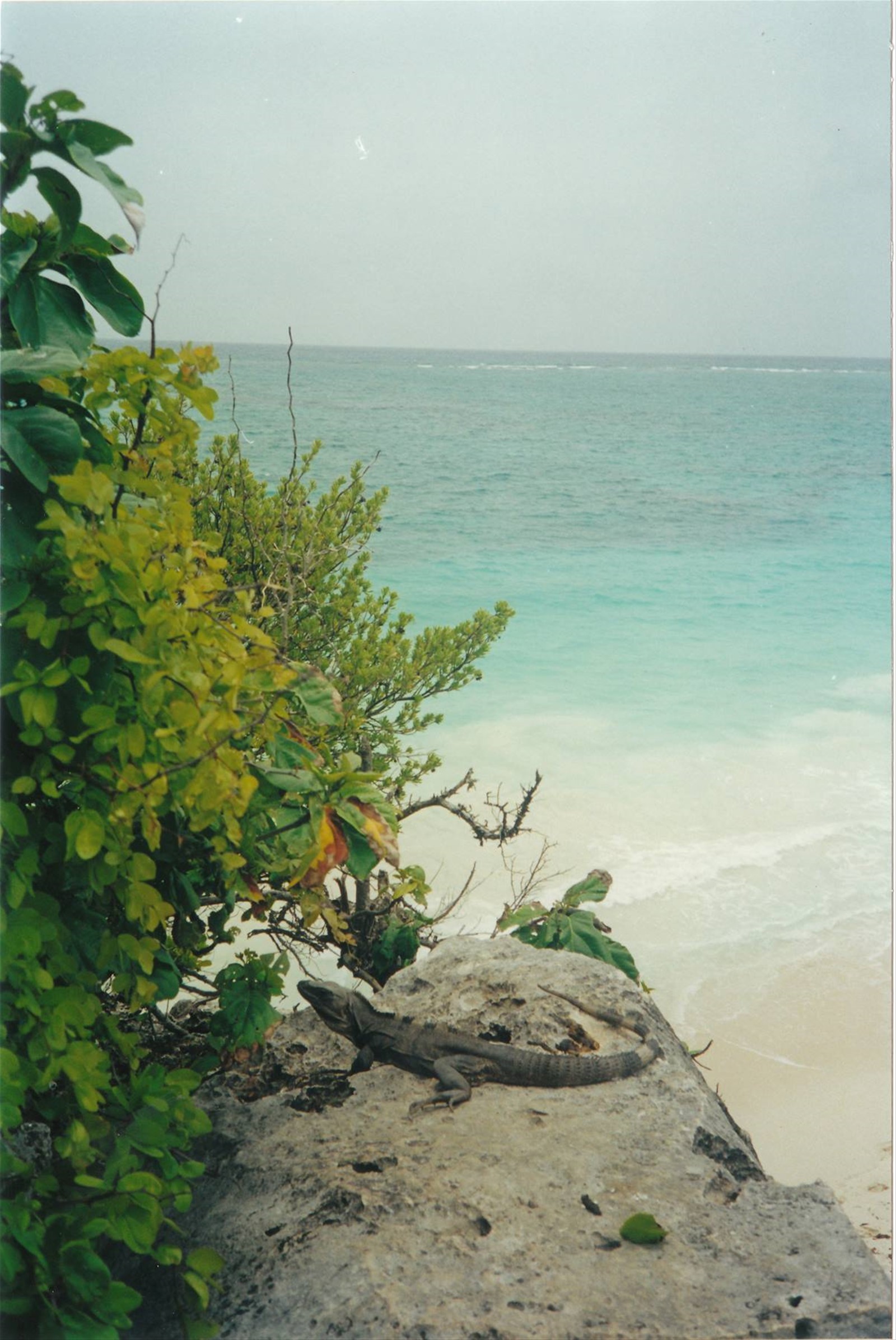 il guardiano di Tulum