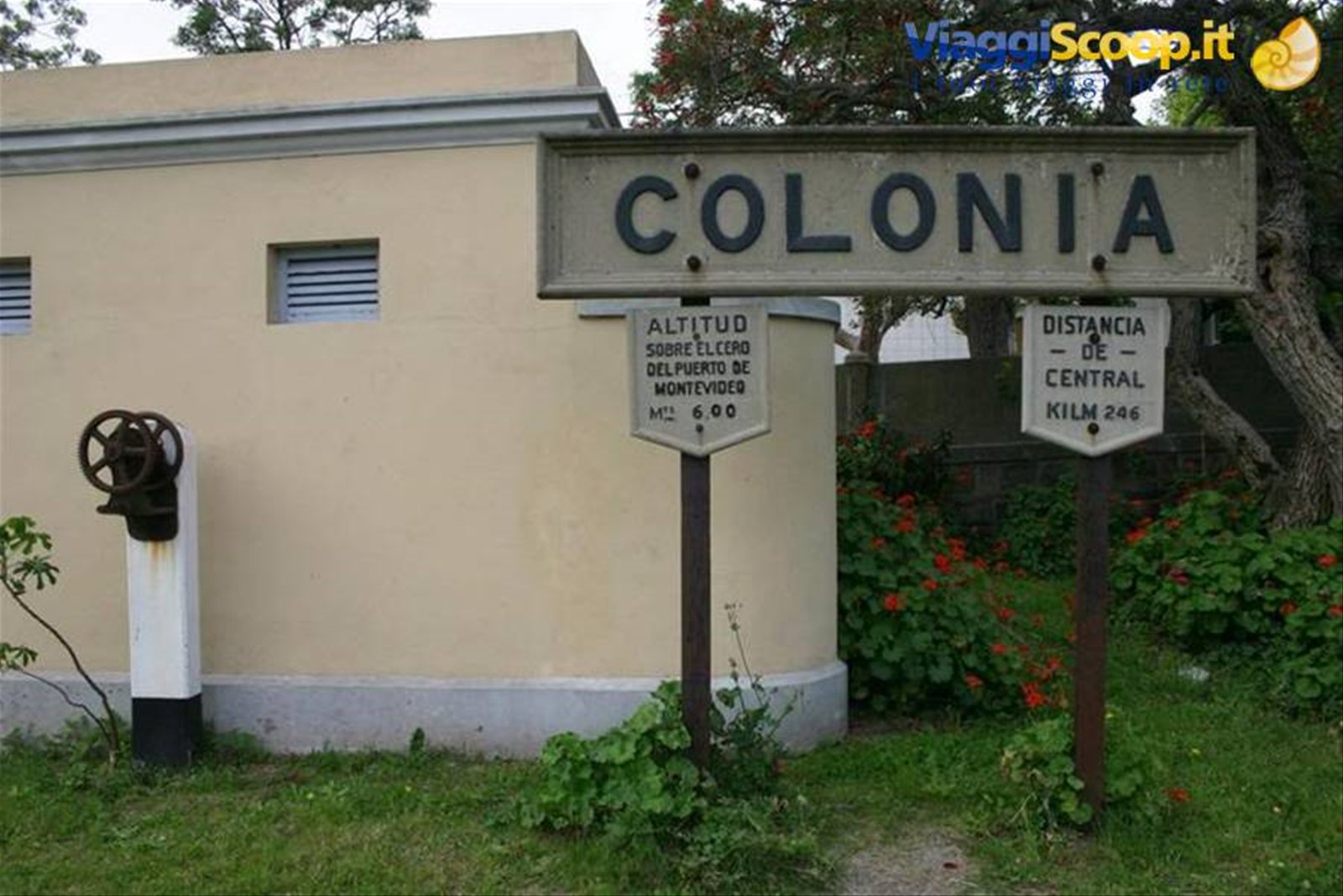 Colonia