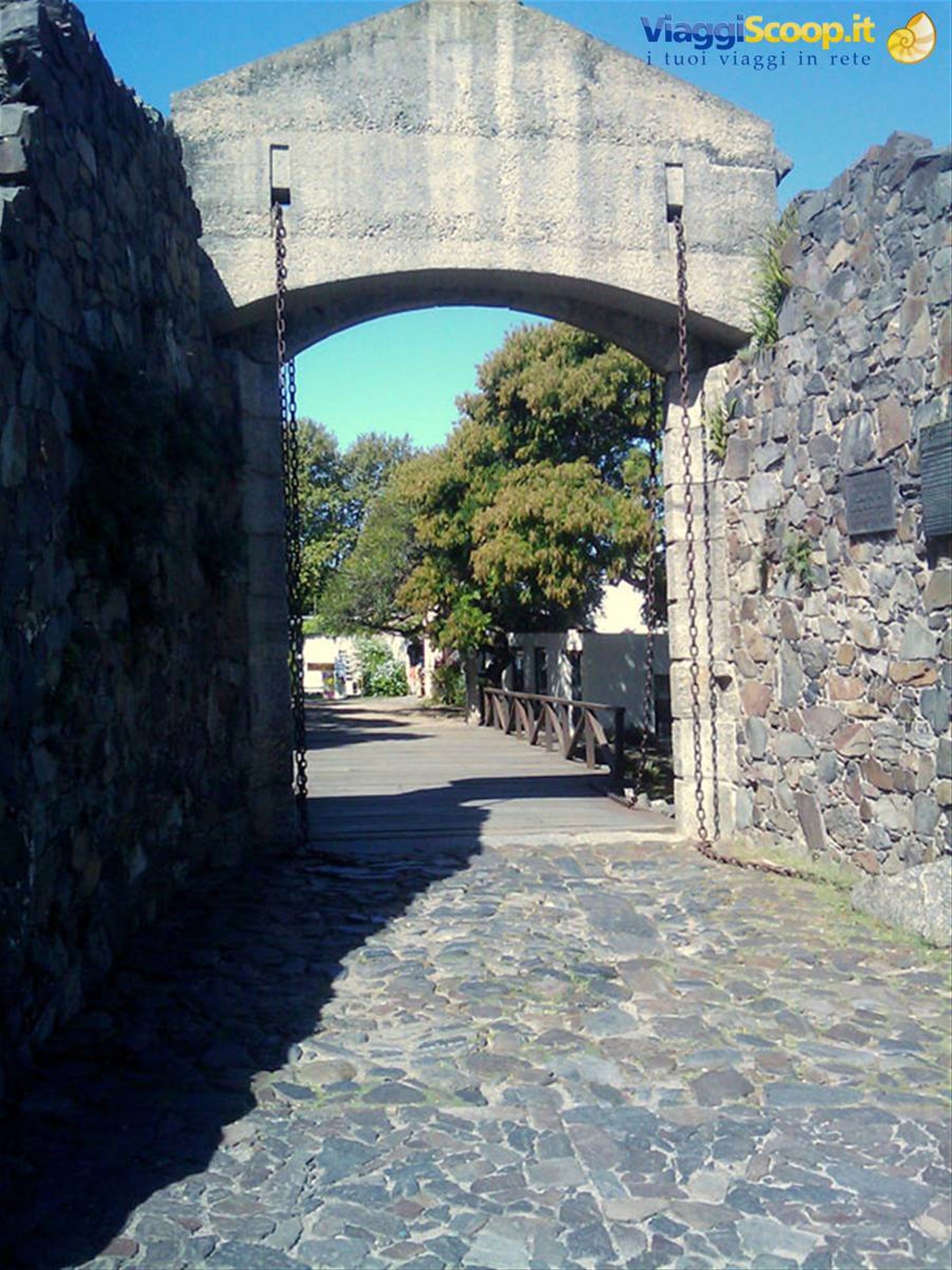 porta colonia