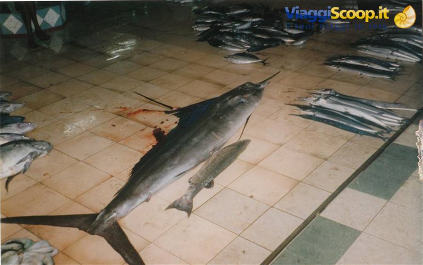 mercato del pesce