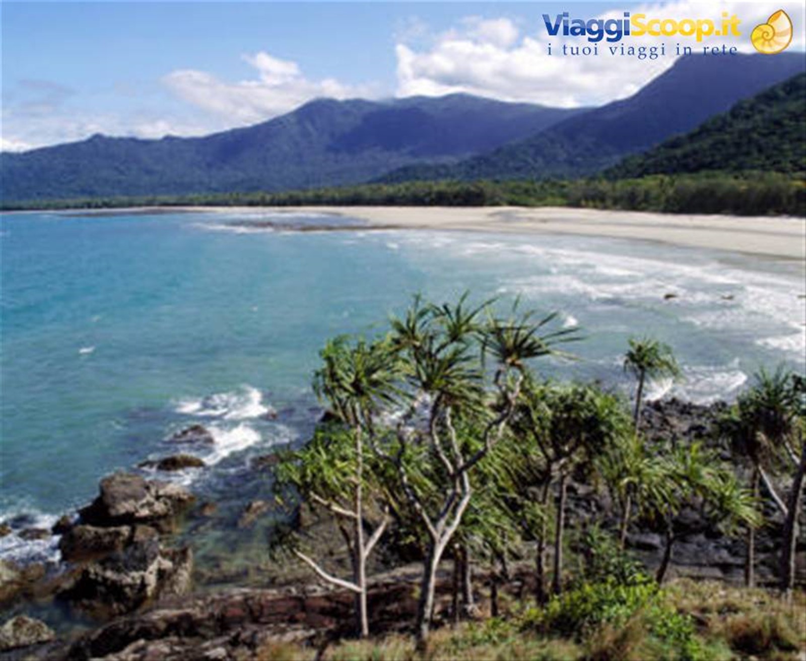 Daintree N.P.