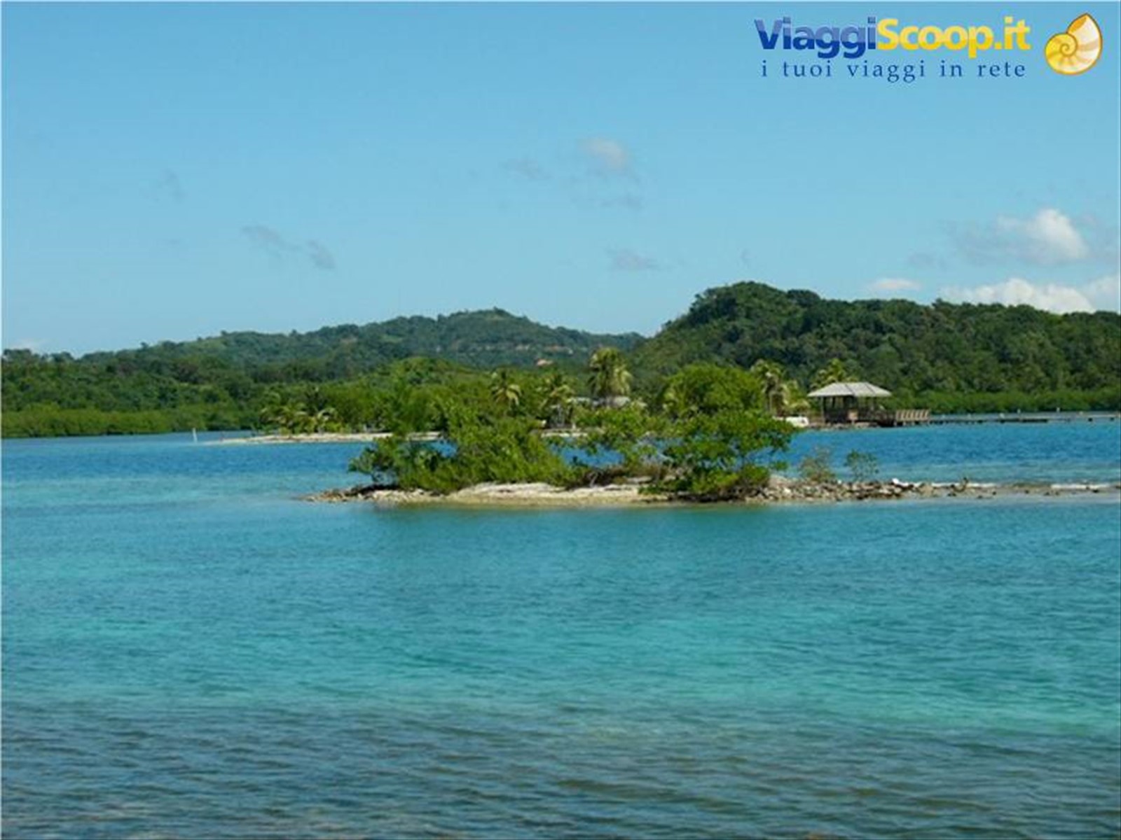 il mare di Roatan