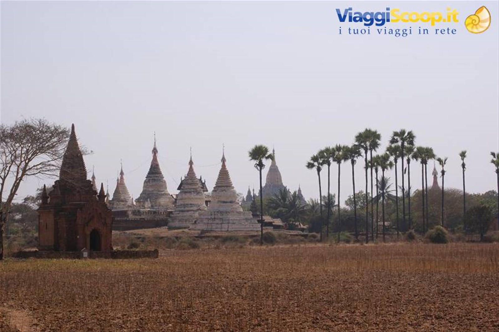 Bagan