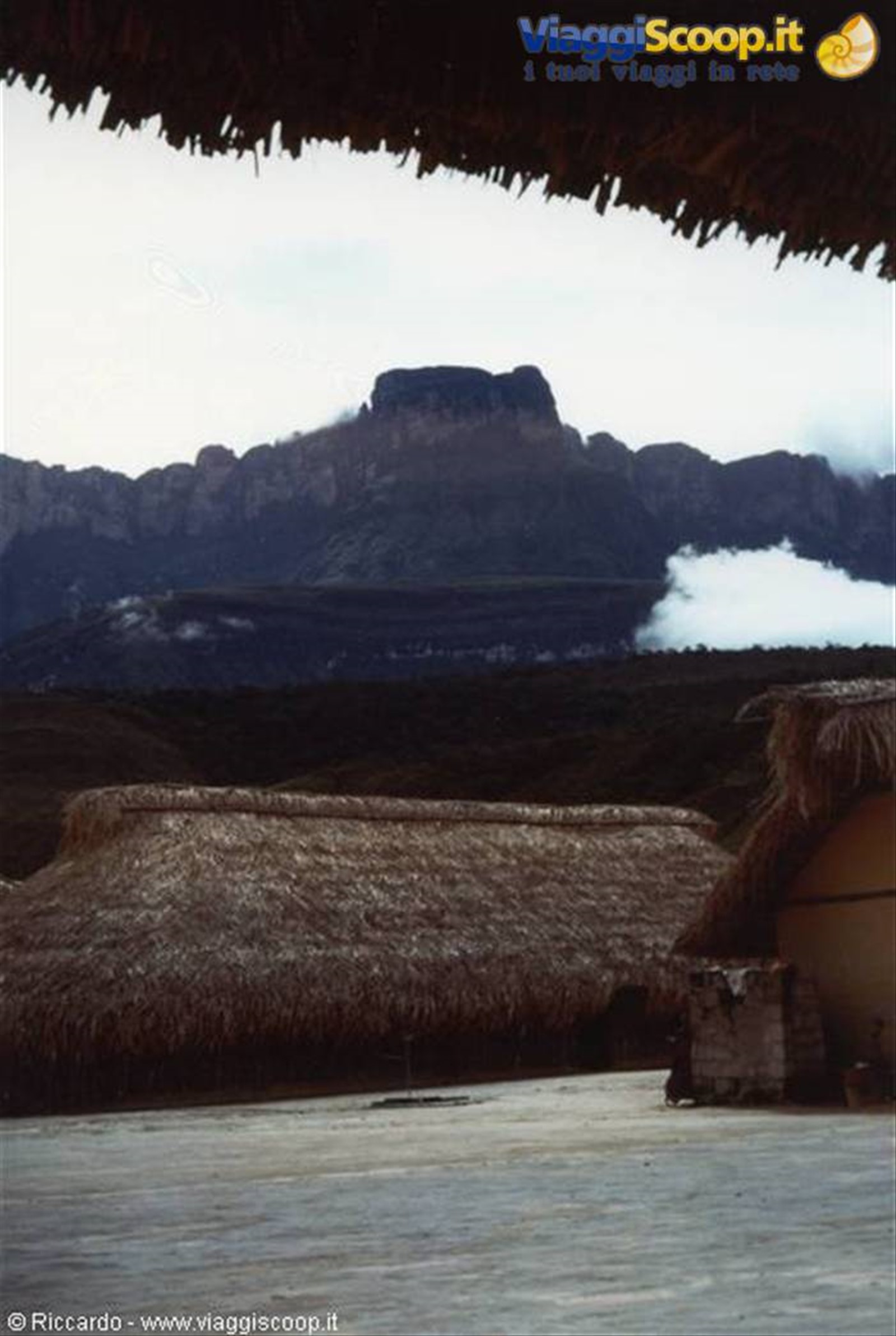 Kavak