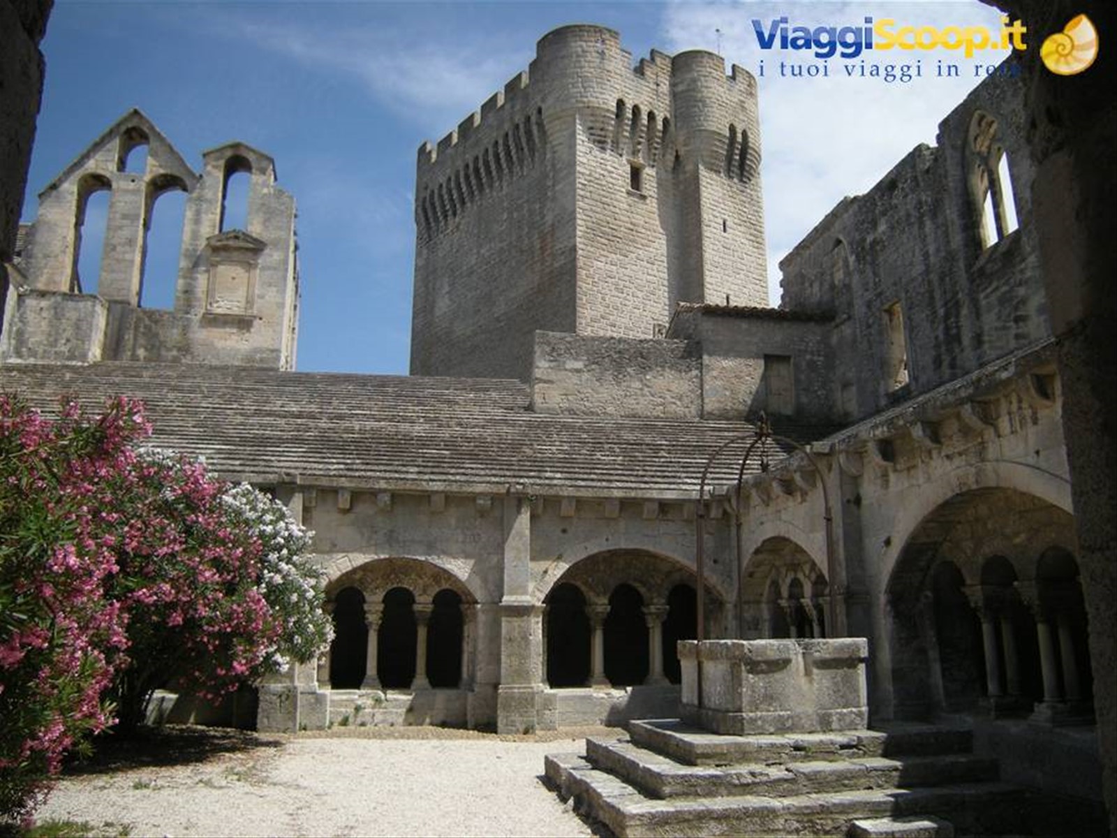 Abbazia di Montmajour