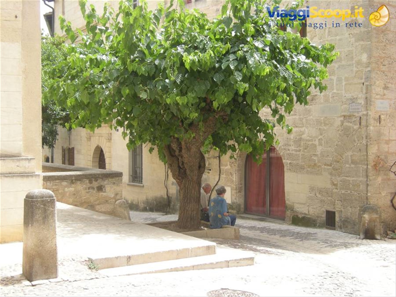 Vecchietti con platano (Uzes)