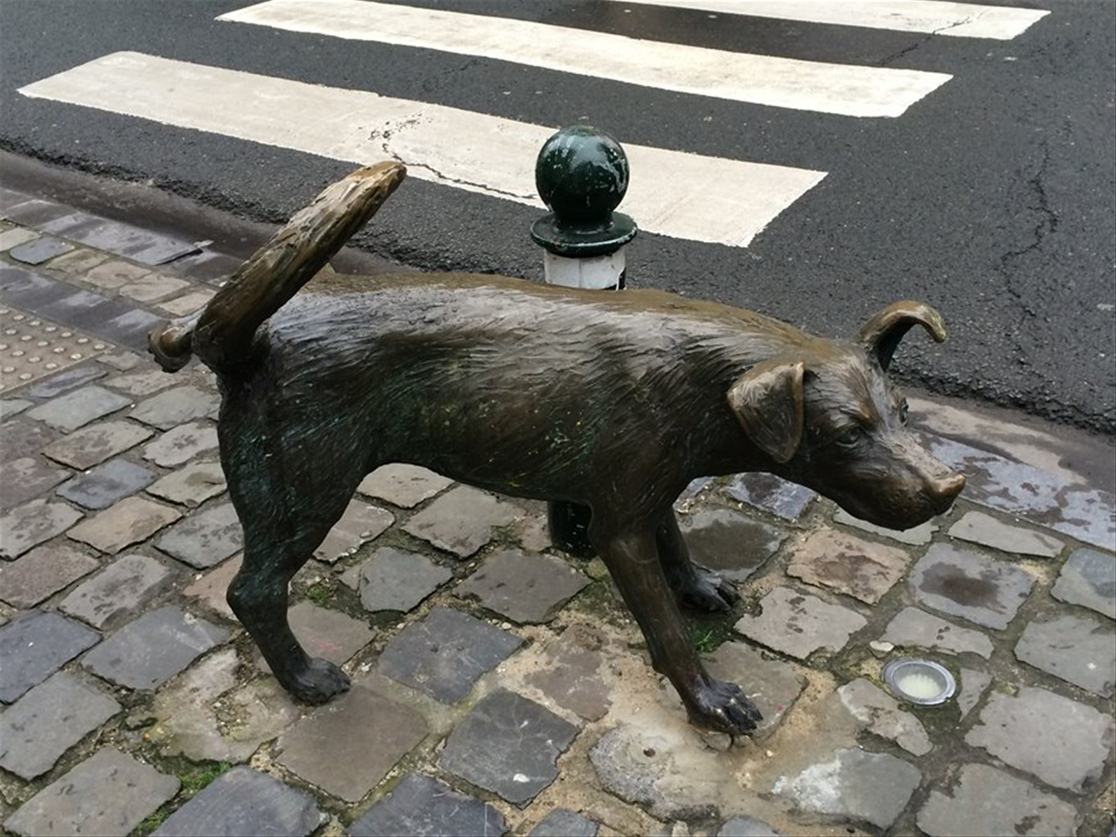 Chien qui pisse