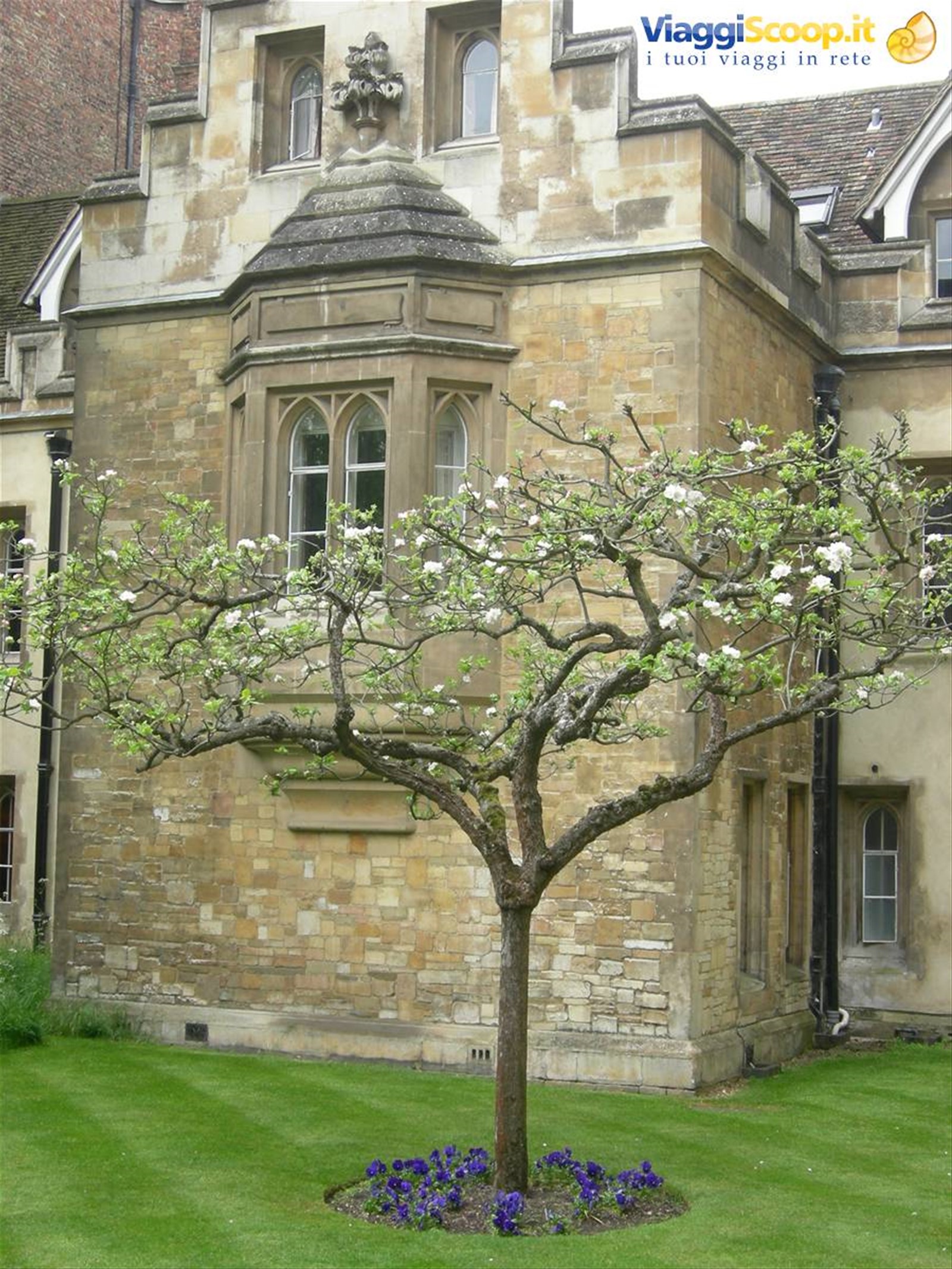 college, cambridge