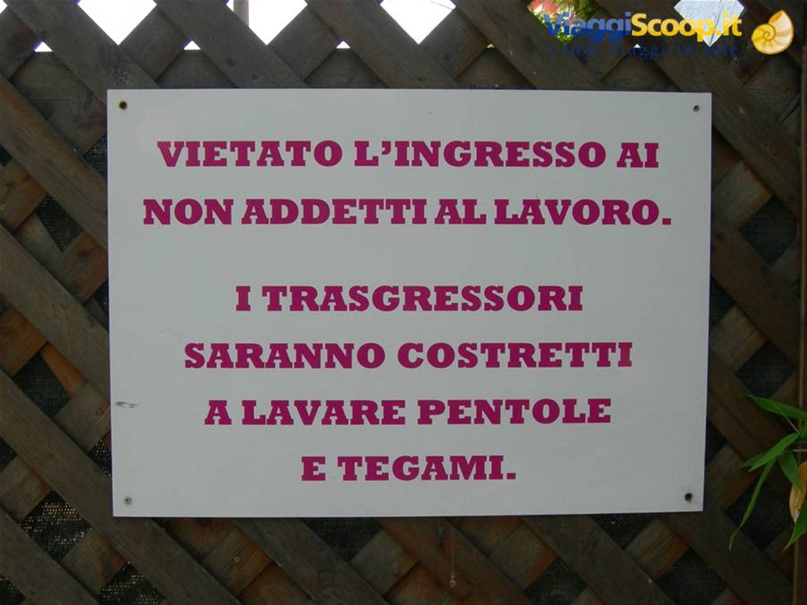 trasgressori
