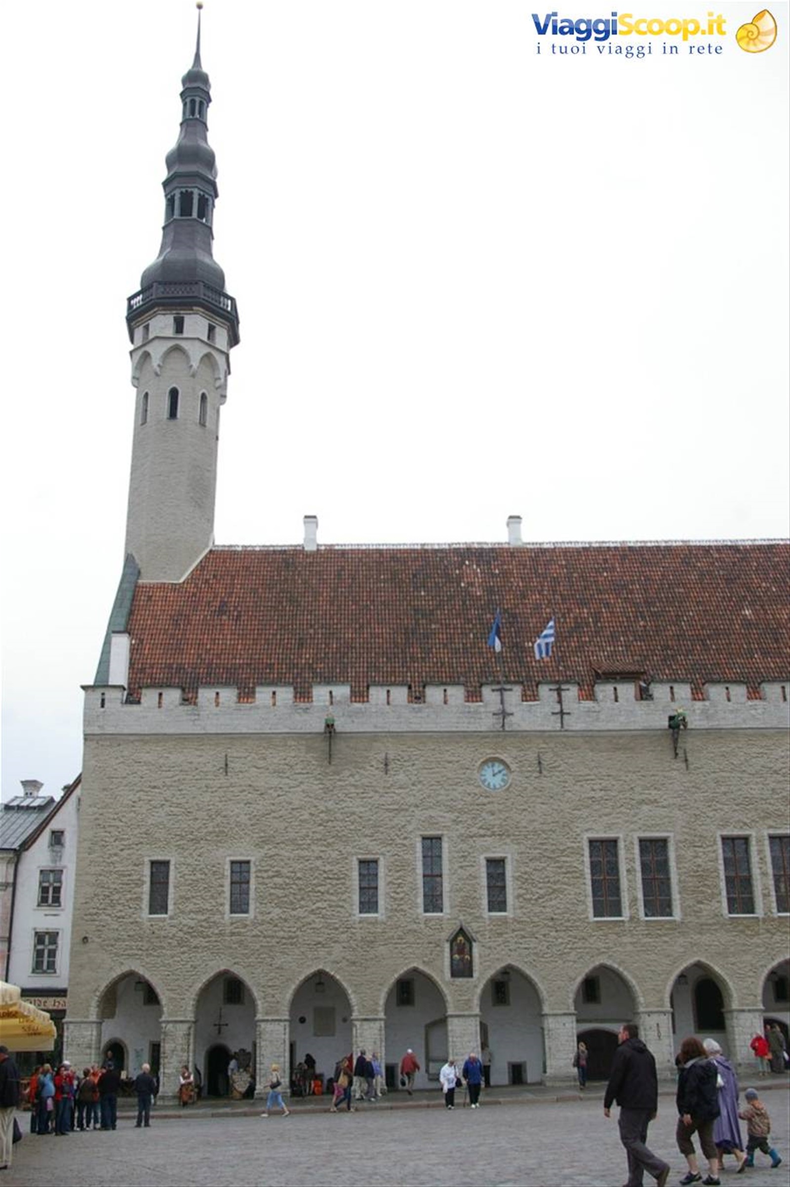 Foto di viaggio in ESTONIA