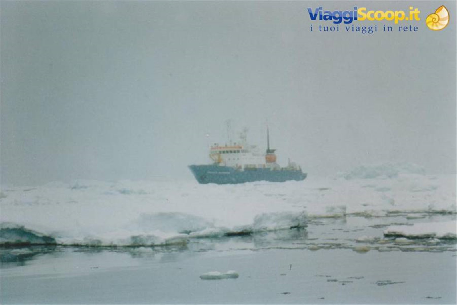 Foto di viaggio in ANTARTICA