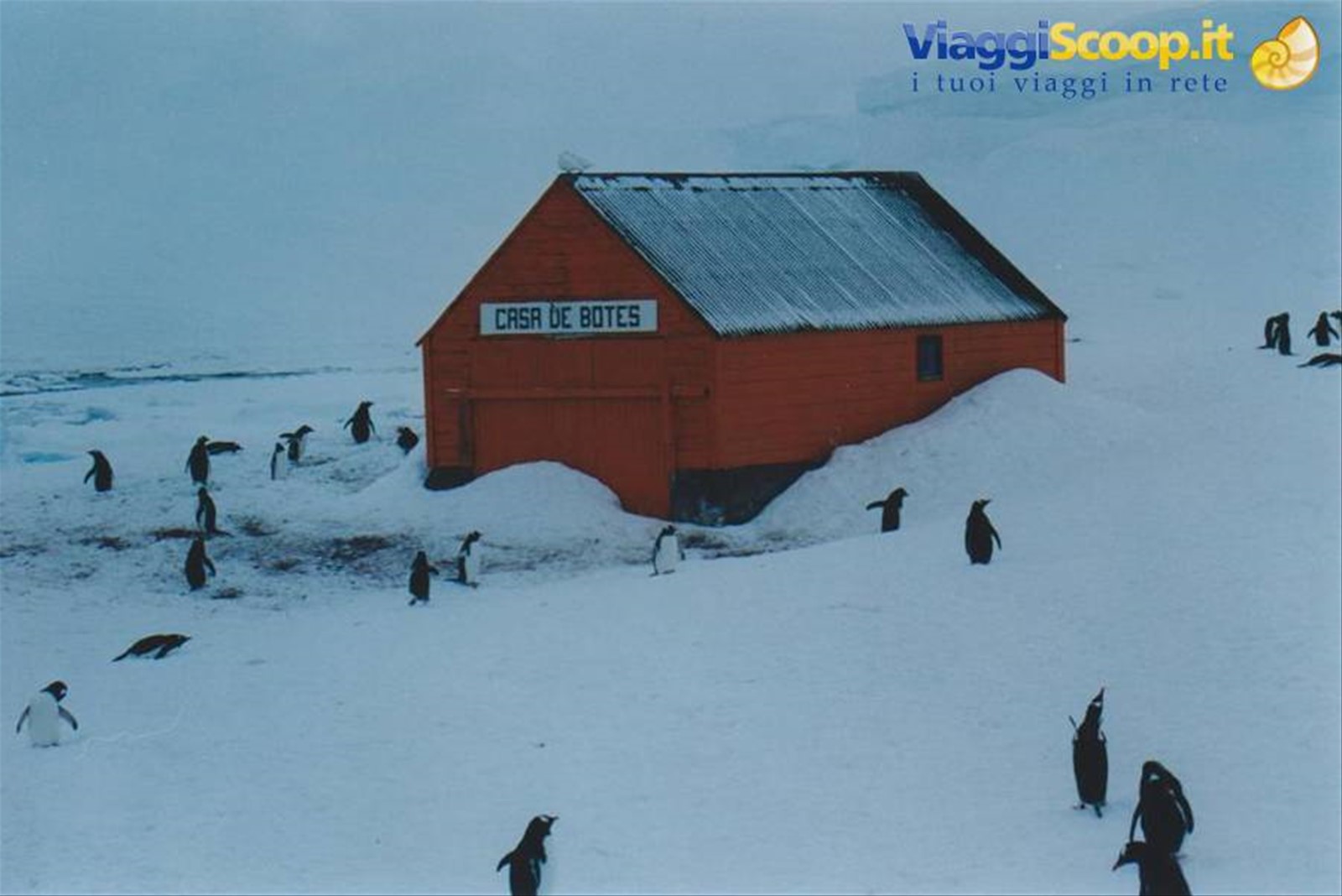 Foto di viaggio in ANTARTICA