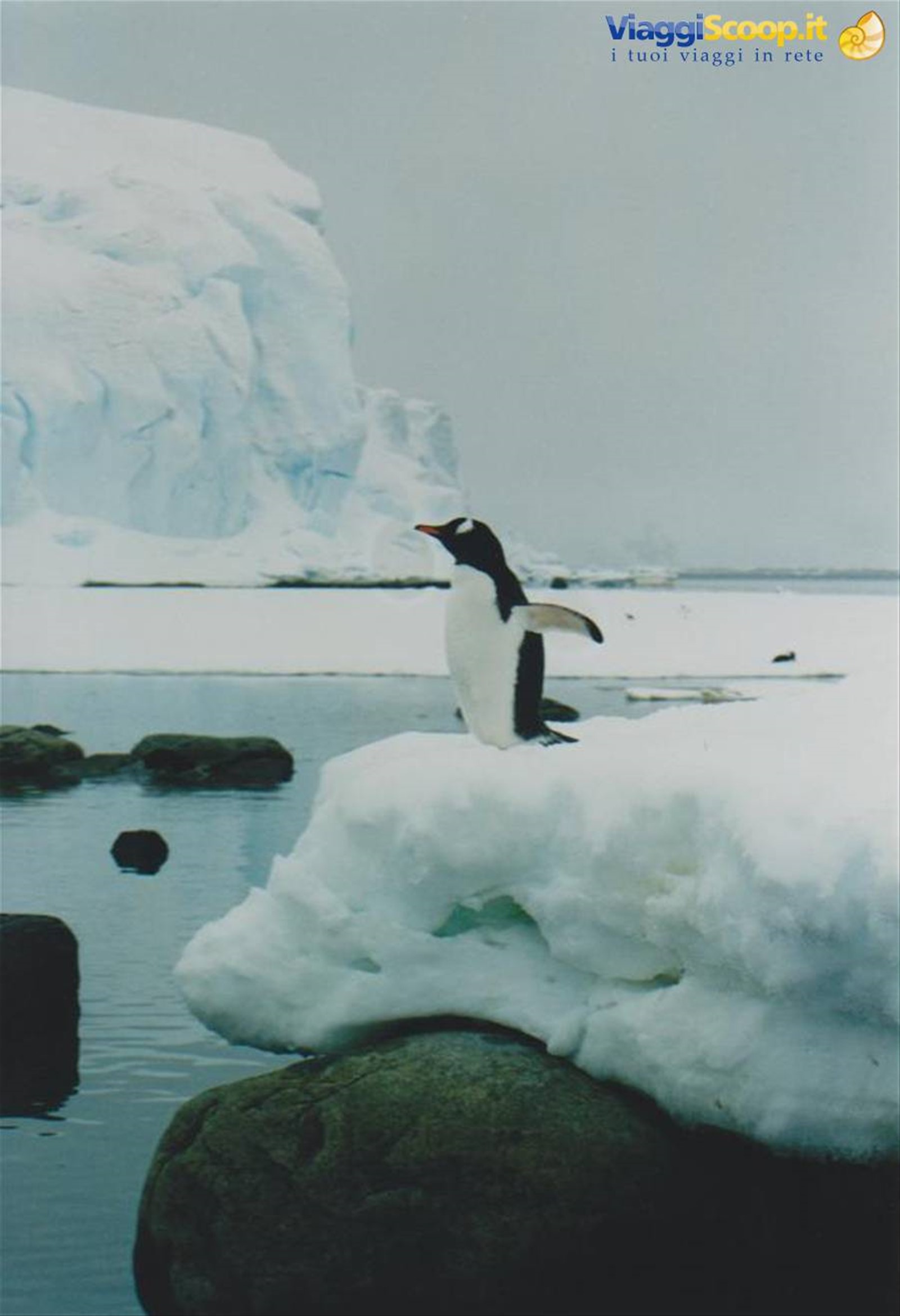 Foto di viaggio in ANTARTICA