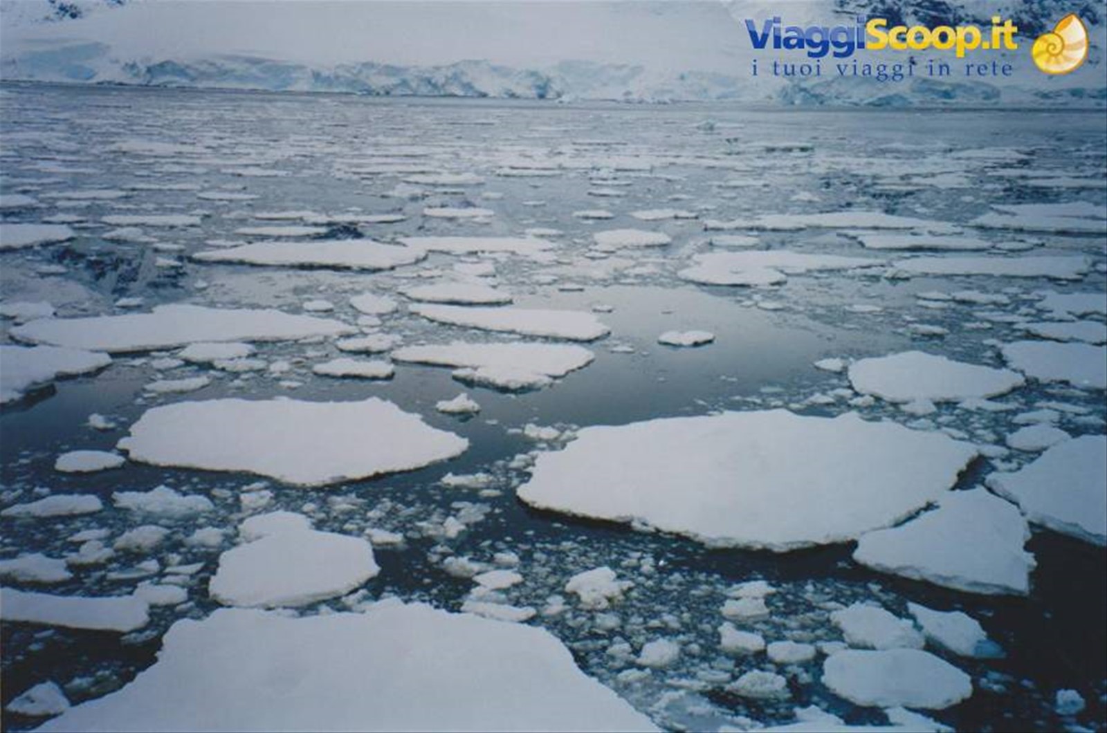 Foto di viaggio in ANTARTICA