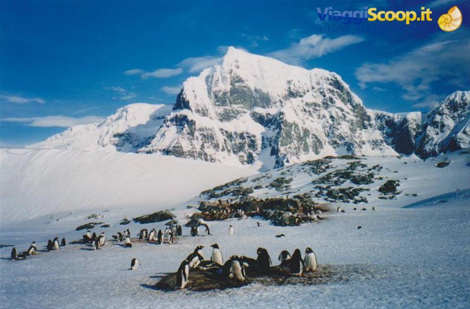 Foto di viaggio in ANTARTICA