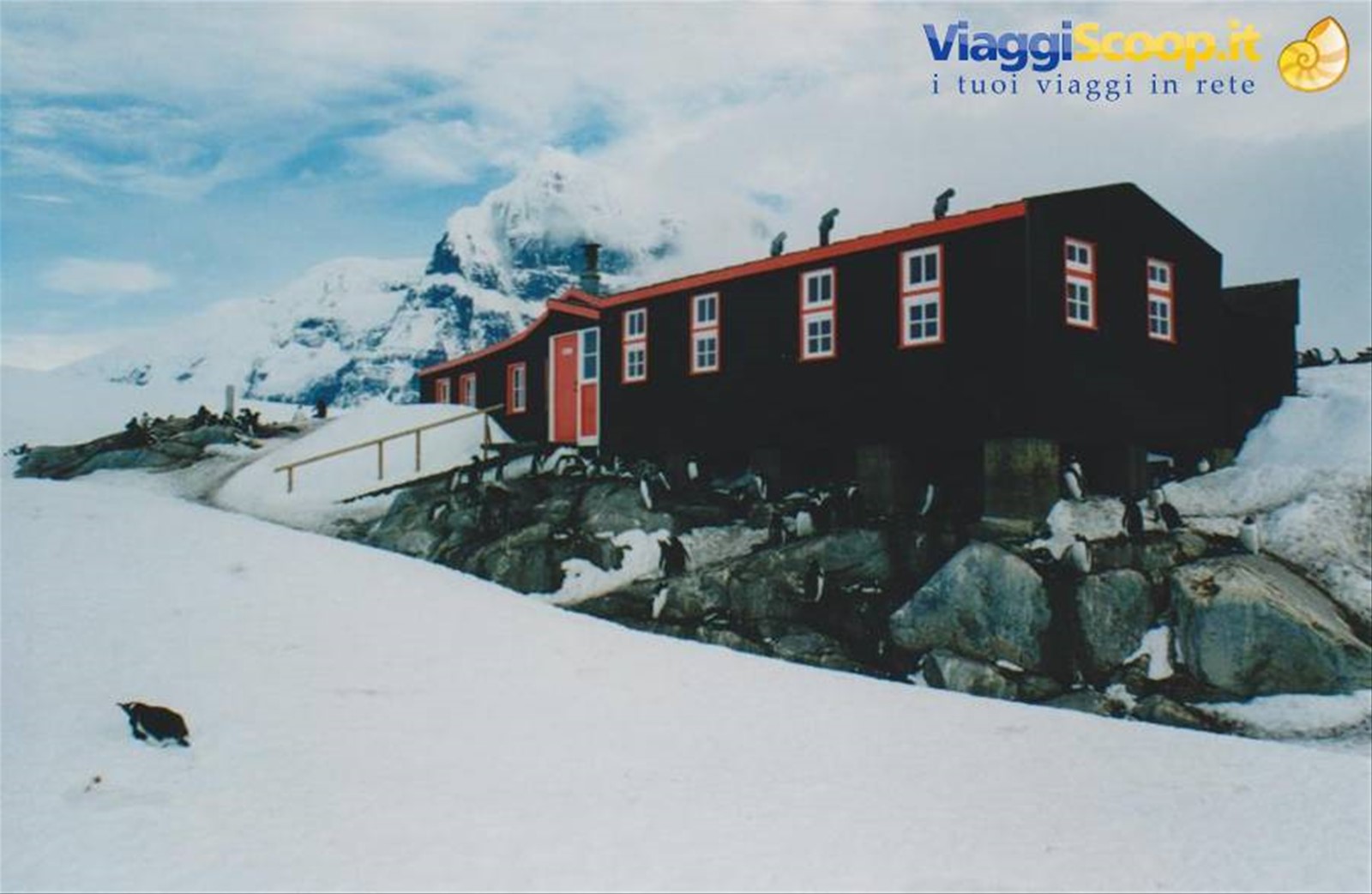 Foto di viaggio in ANTARTICA