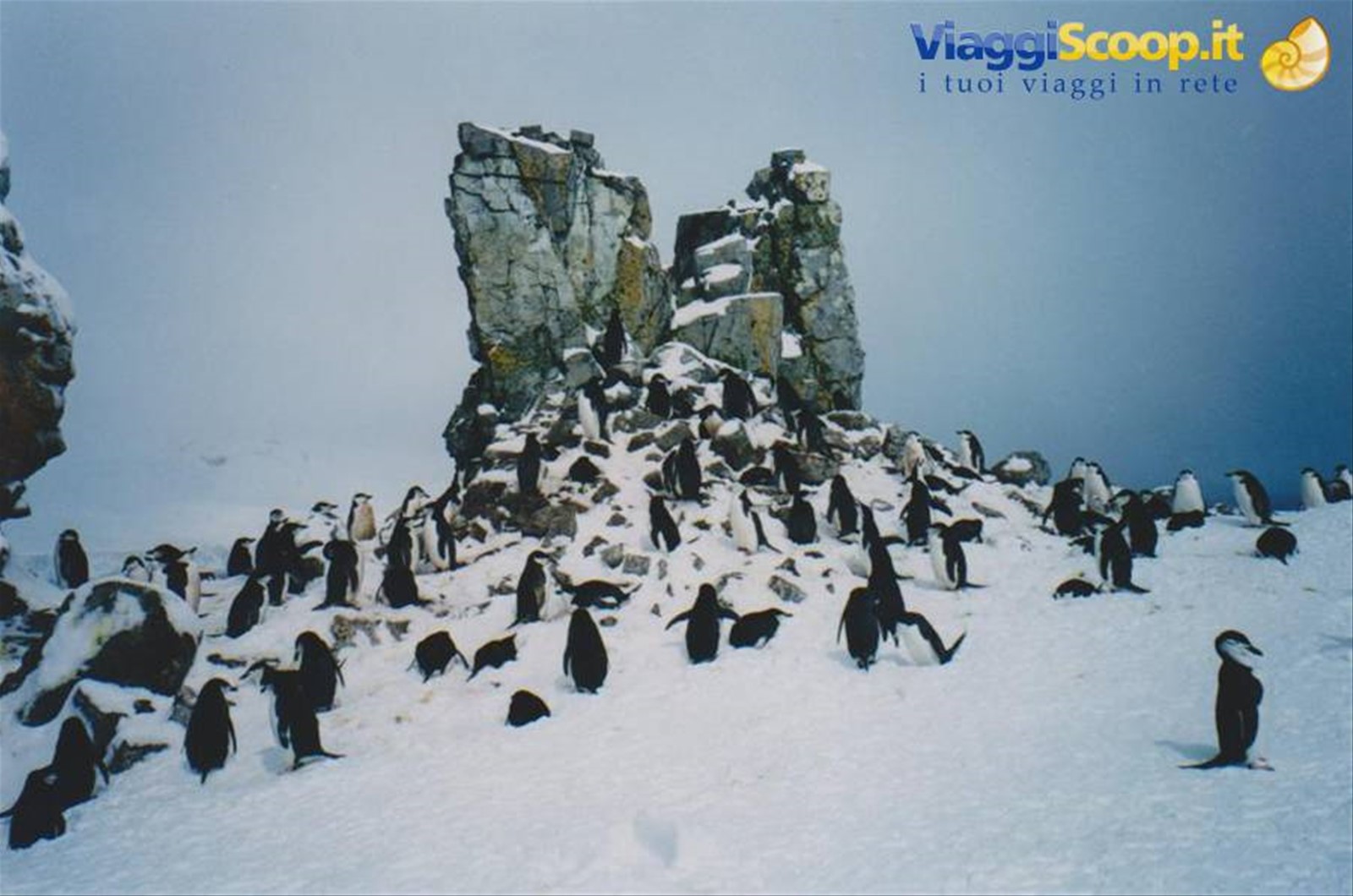 Foto di viaggio in ANTARTICA