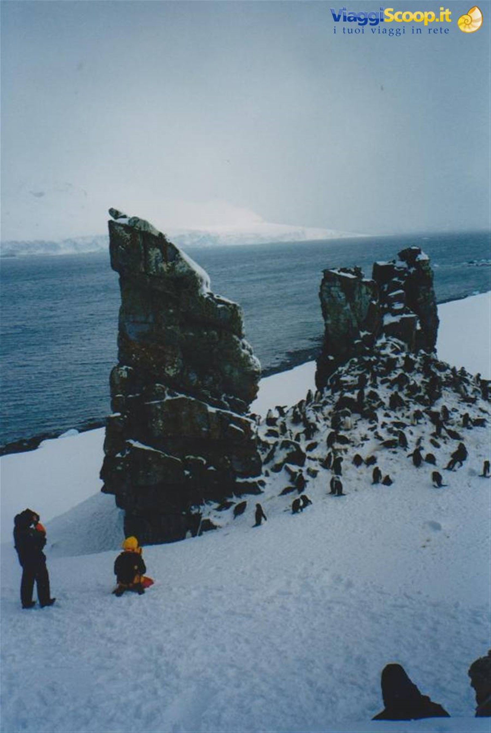 Foto di viaggio in ANTARTICA