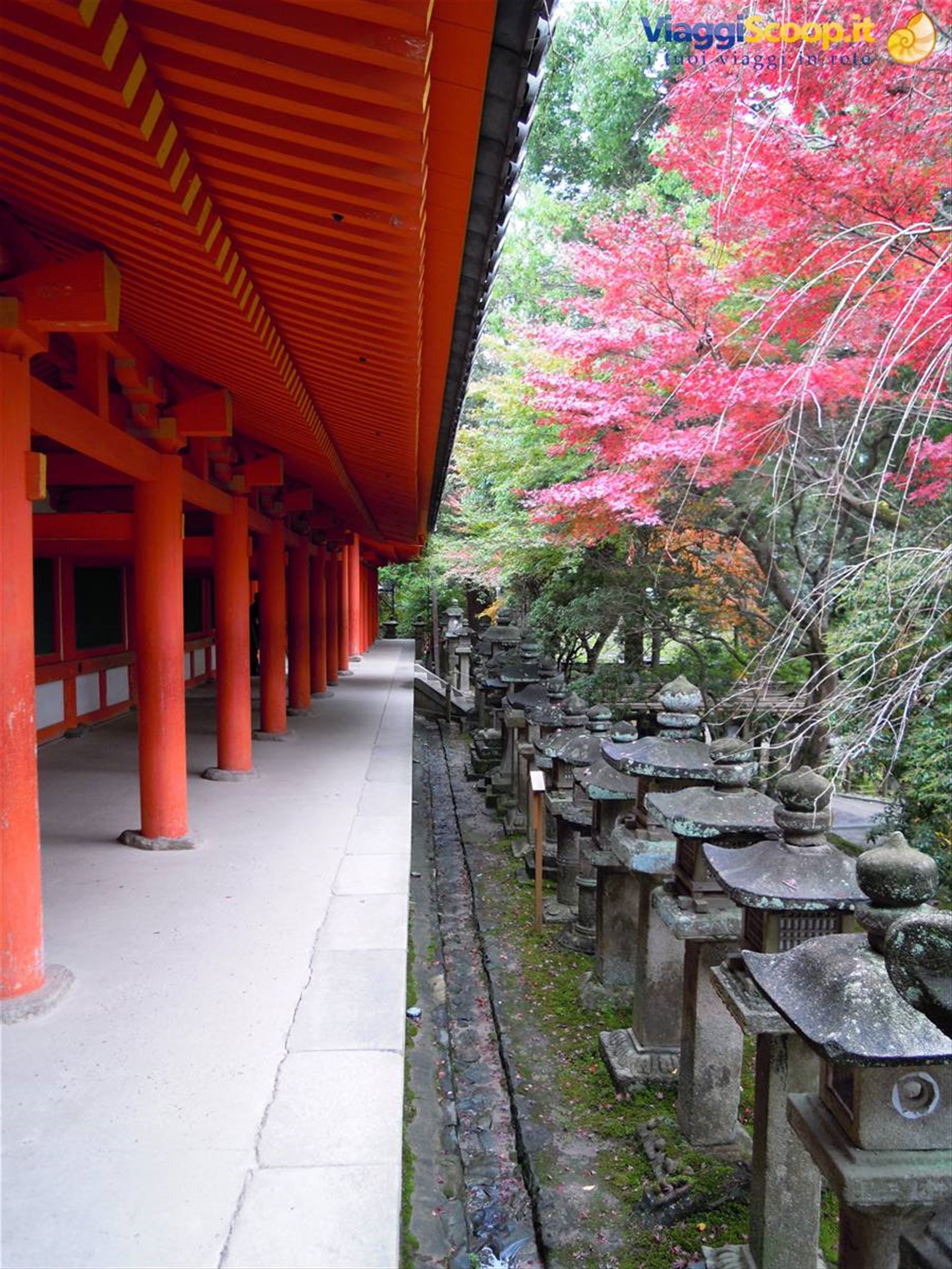 Nara