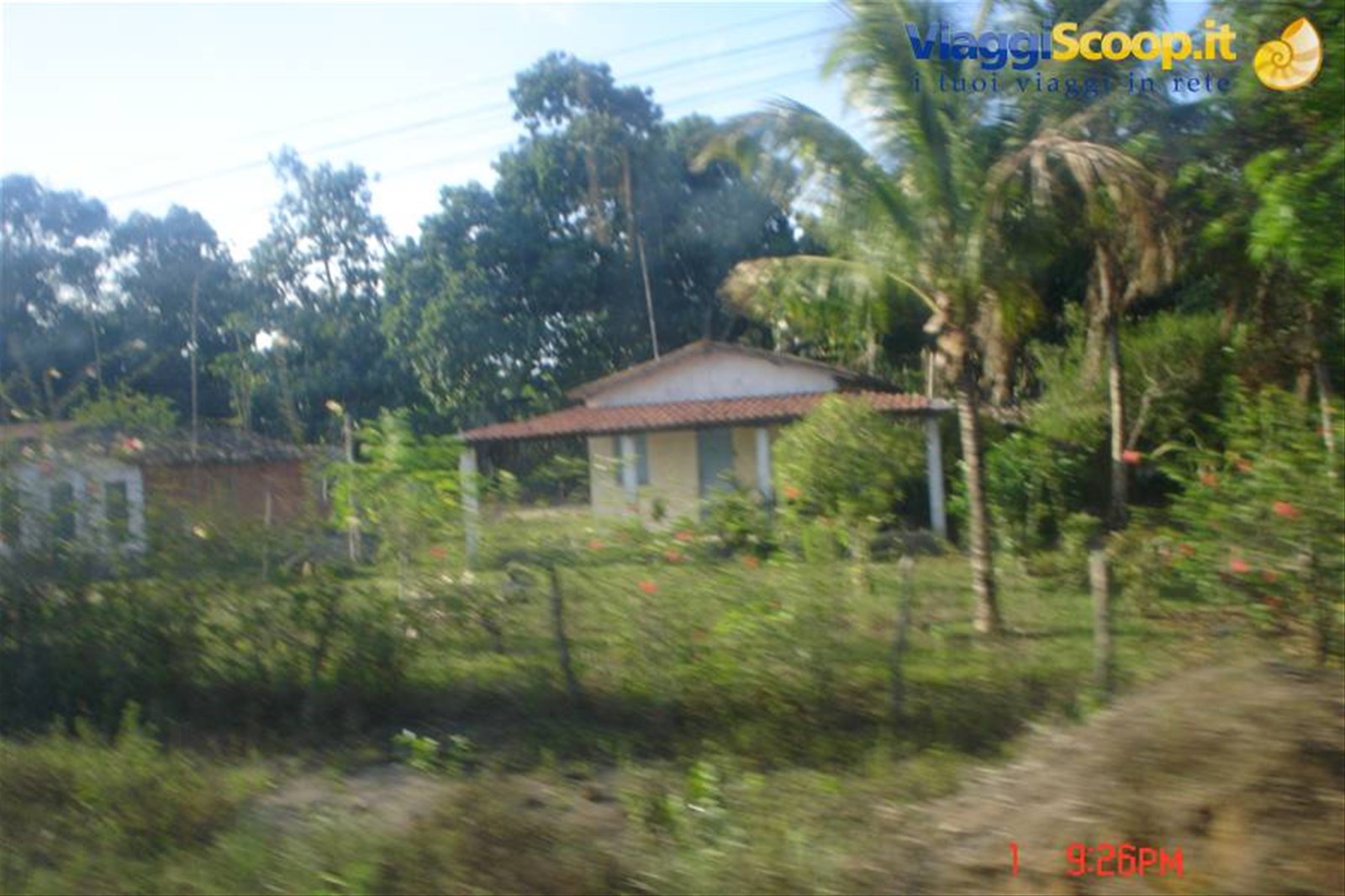 Dalle parti di Maragogipe ( dintorni di Bahia)