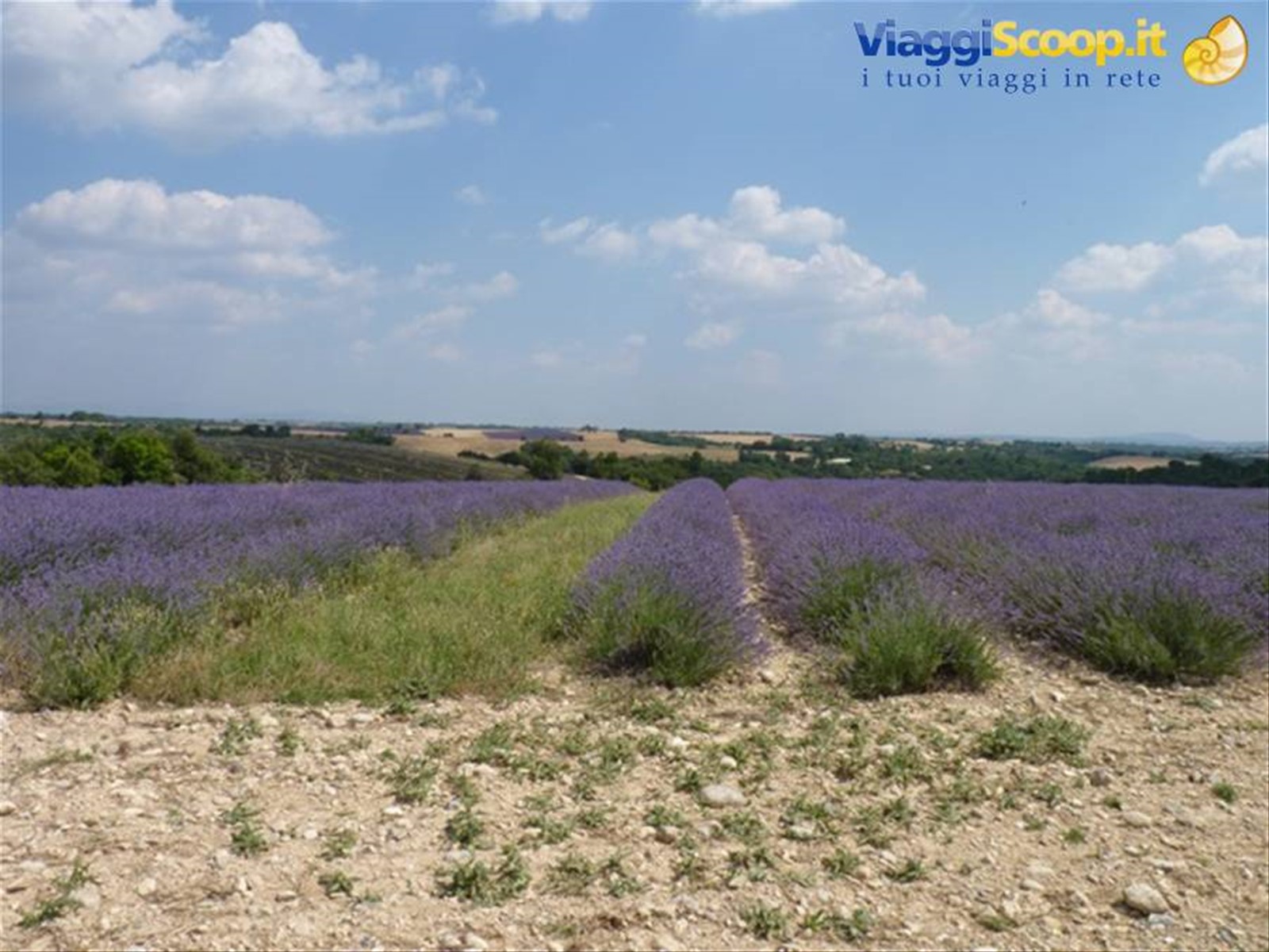 Foto di viaggio in FRANCIA