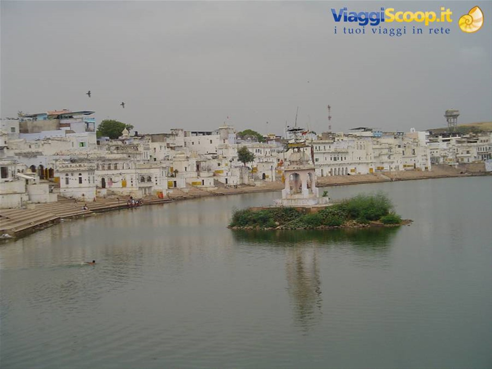 Foto di viaggio in INDIA