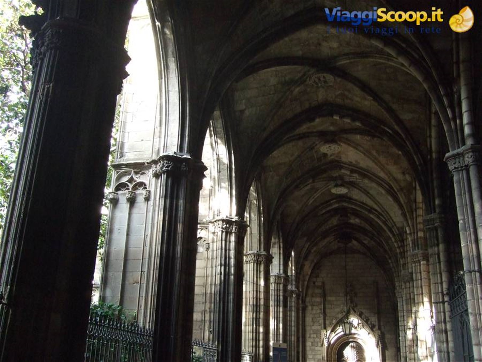 Il chiostro della Cattedrale di Barcellona