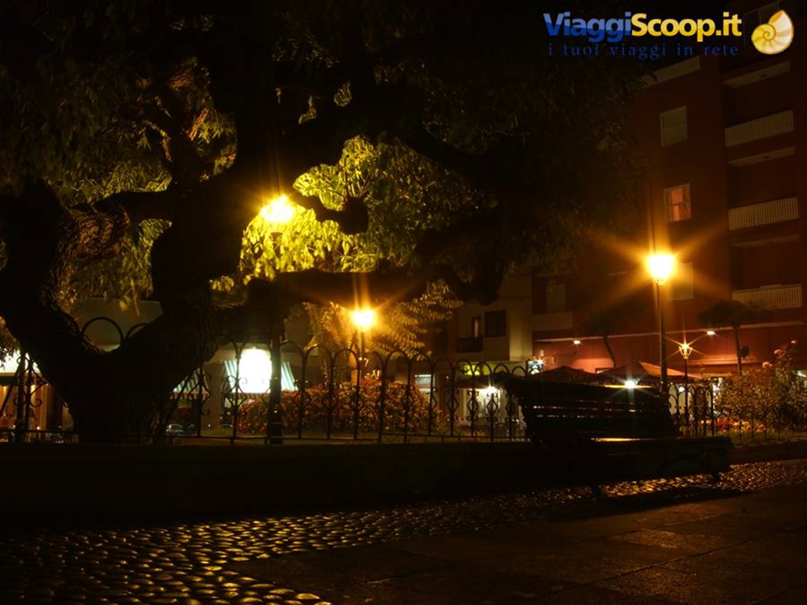 Puerto Cruz (Tenerife) by night