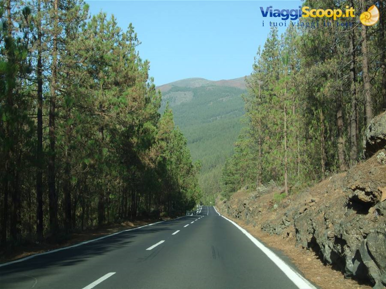 Valle de La Orotava (Tenerife)