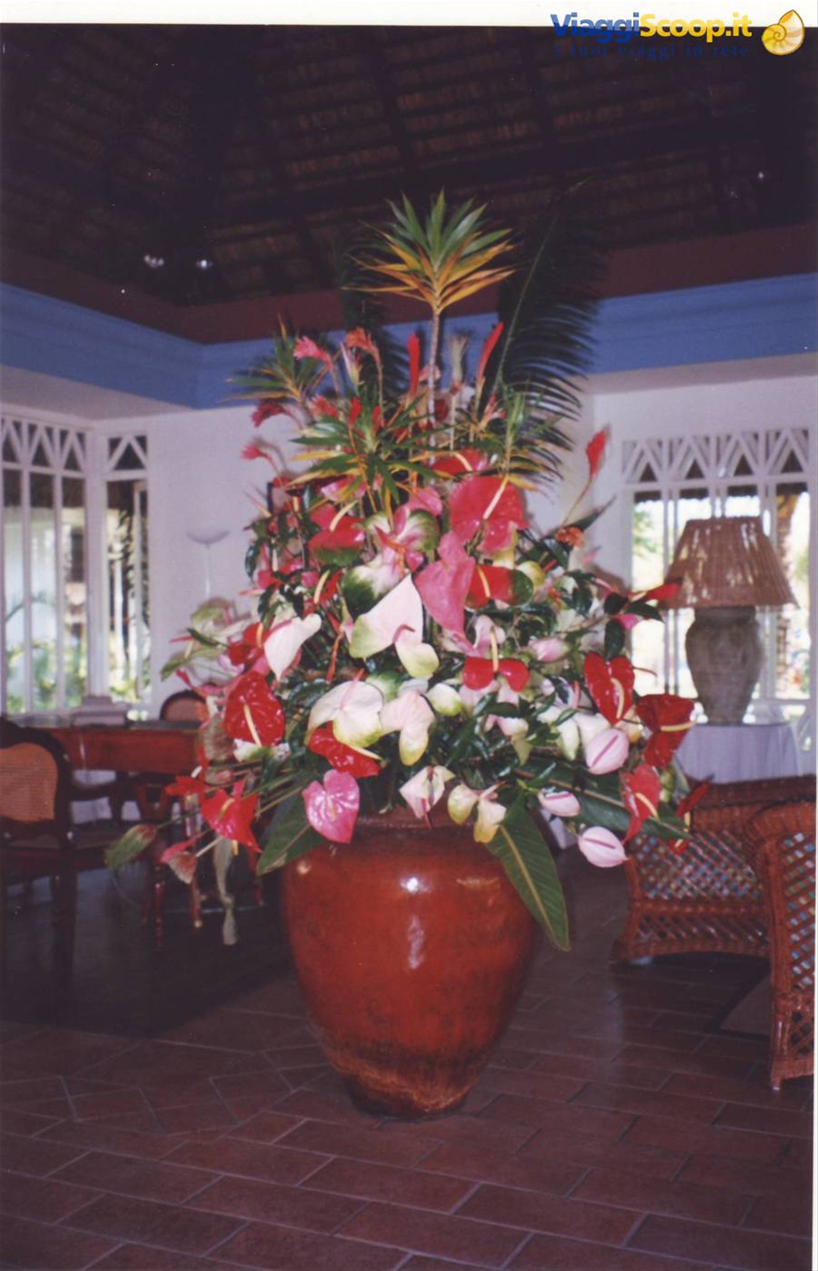 Foto di viaggio in MAURITIUS