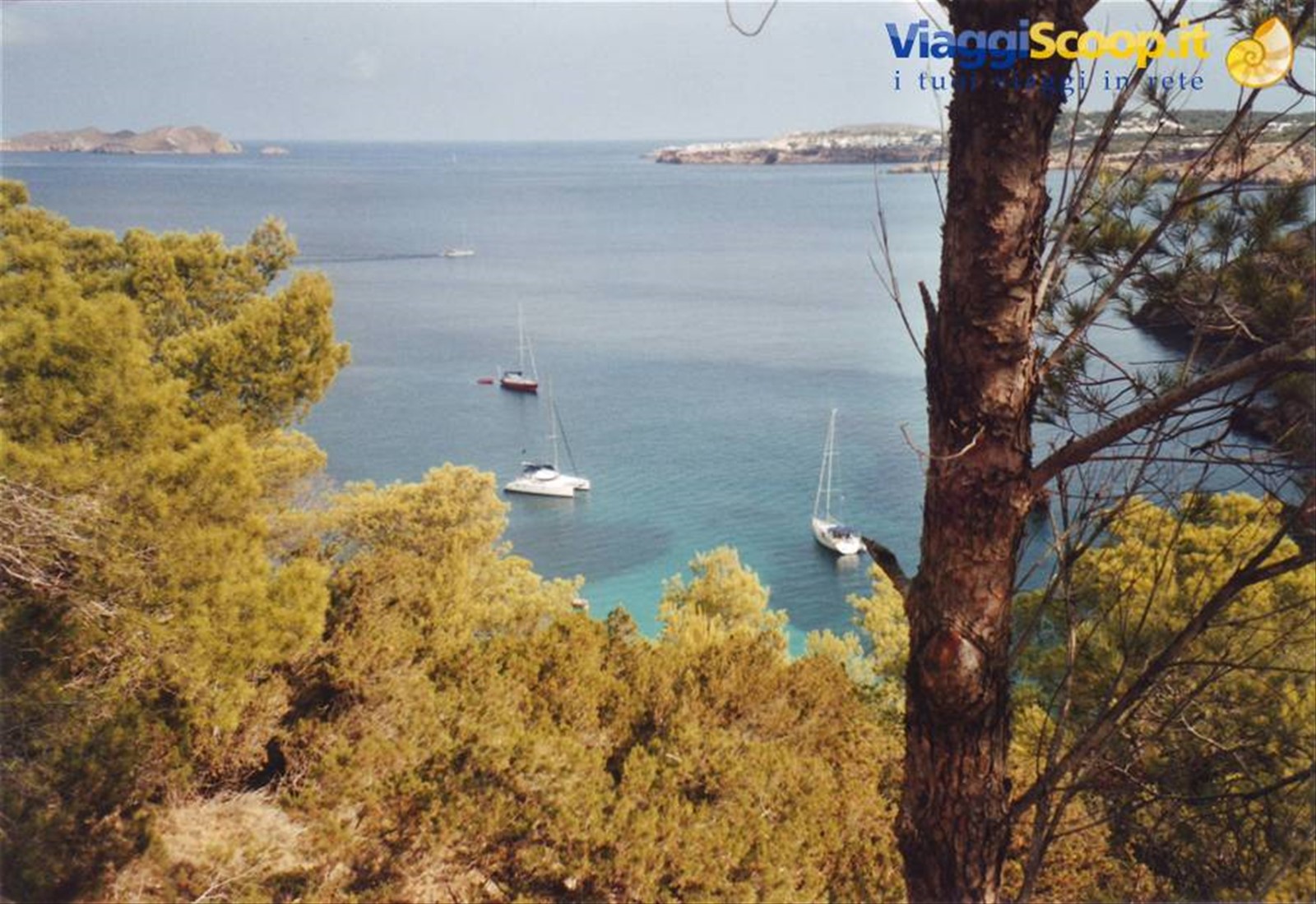 IBIZA: IL DIVERTIMENTO ASSICURATO
