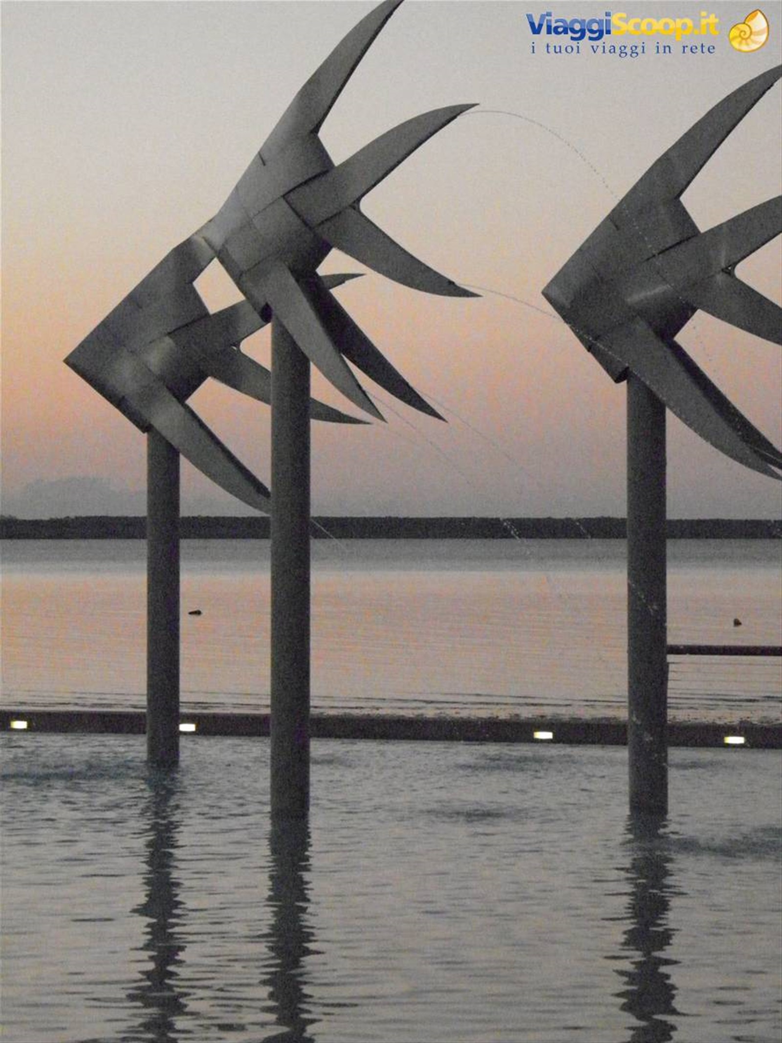 Foto di viaggio in AUSTRALIA