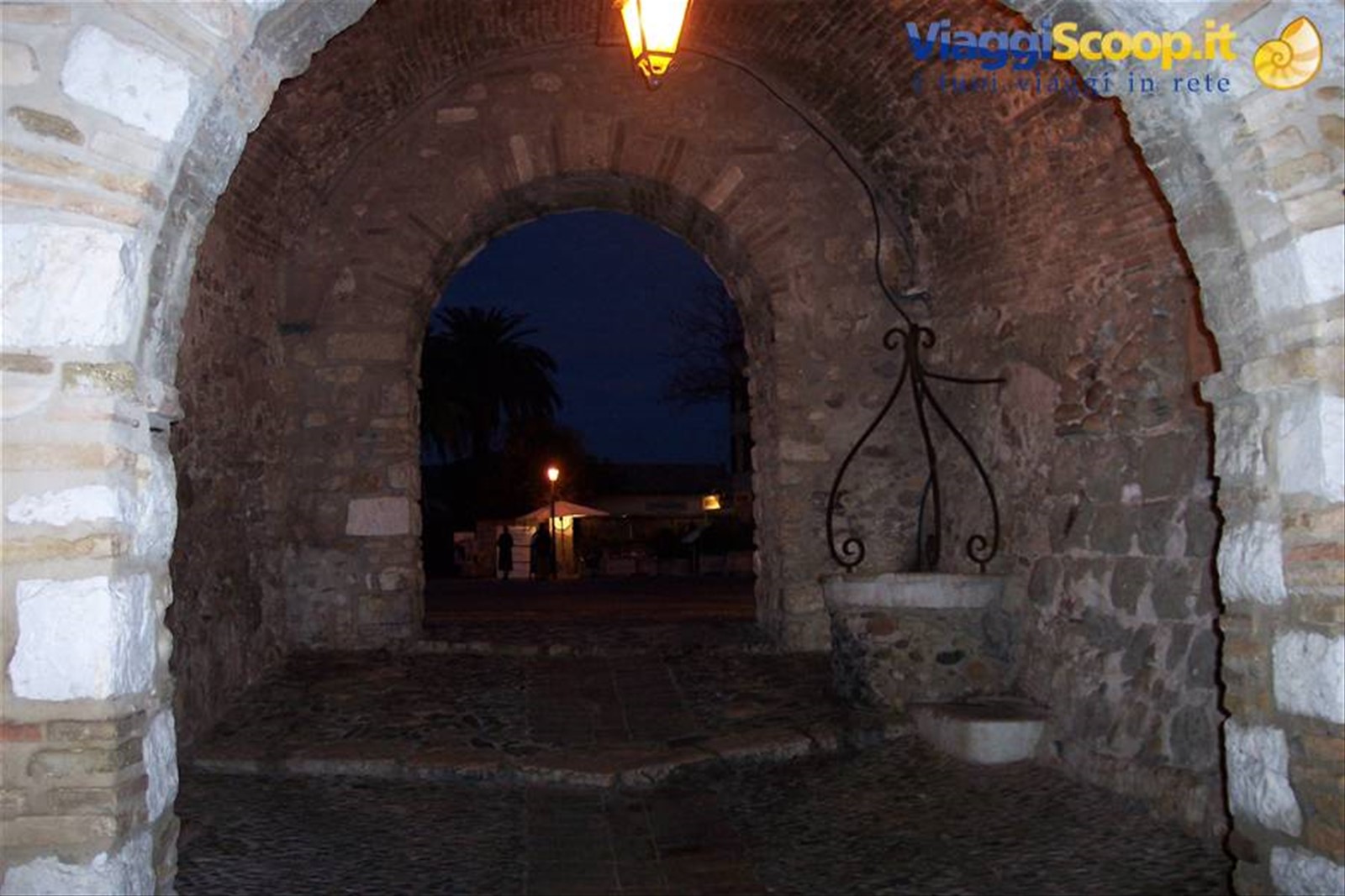 portici cagne