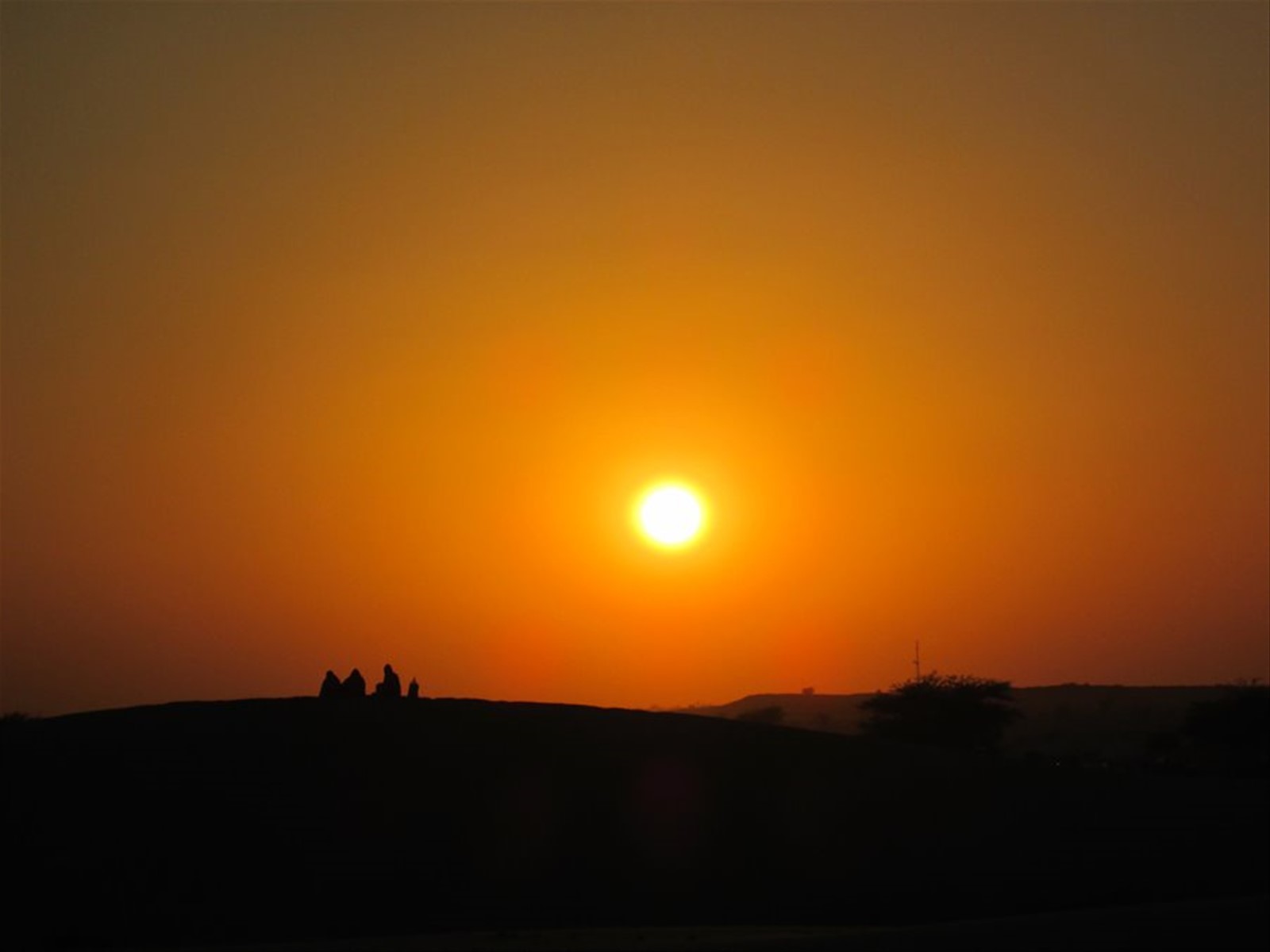 Foto di viaggio in INDIA