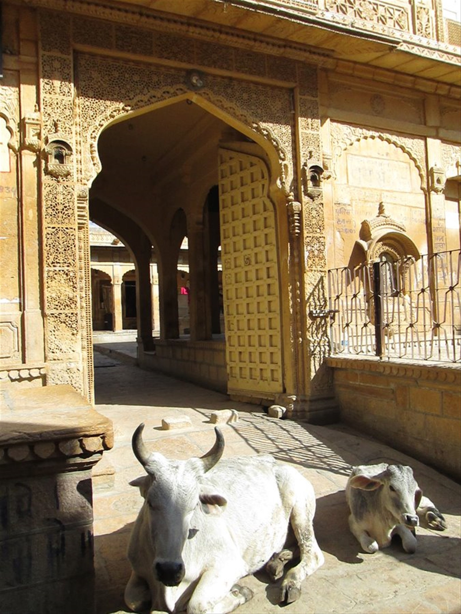 Foto di viaggio in INDIA