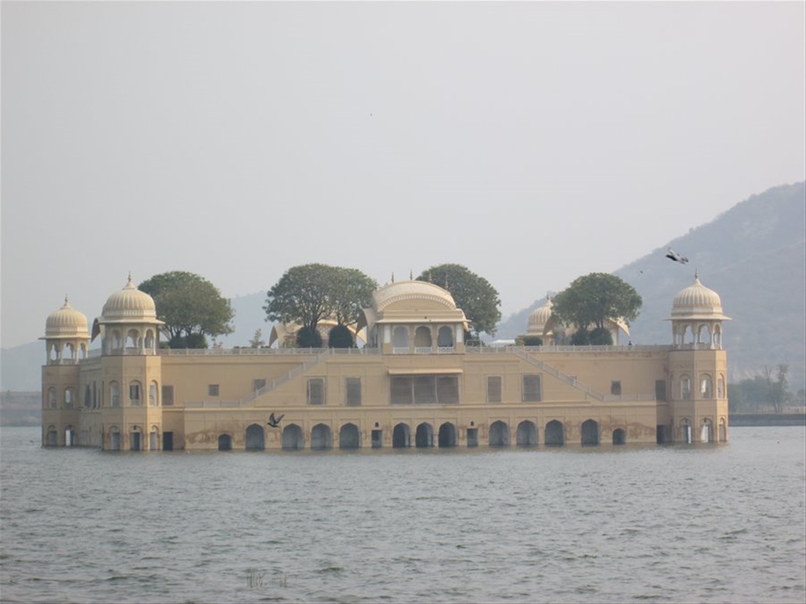 Foto di viaggio in INDIA