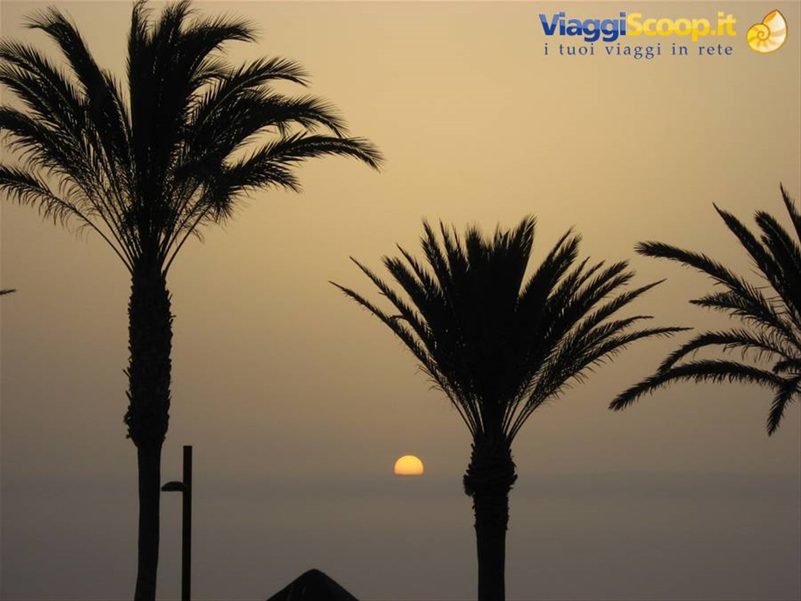 tramonto a playa de las americas