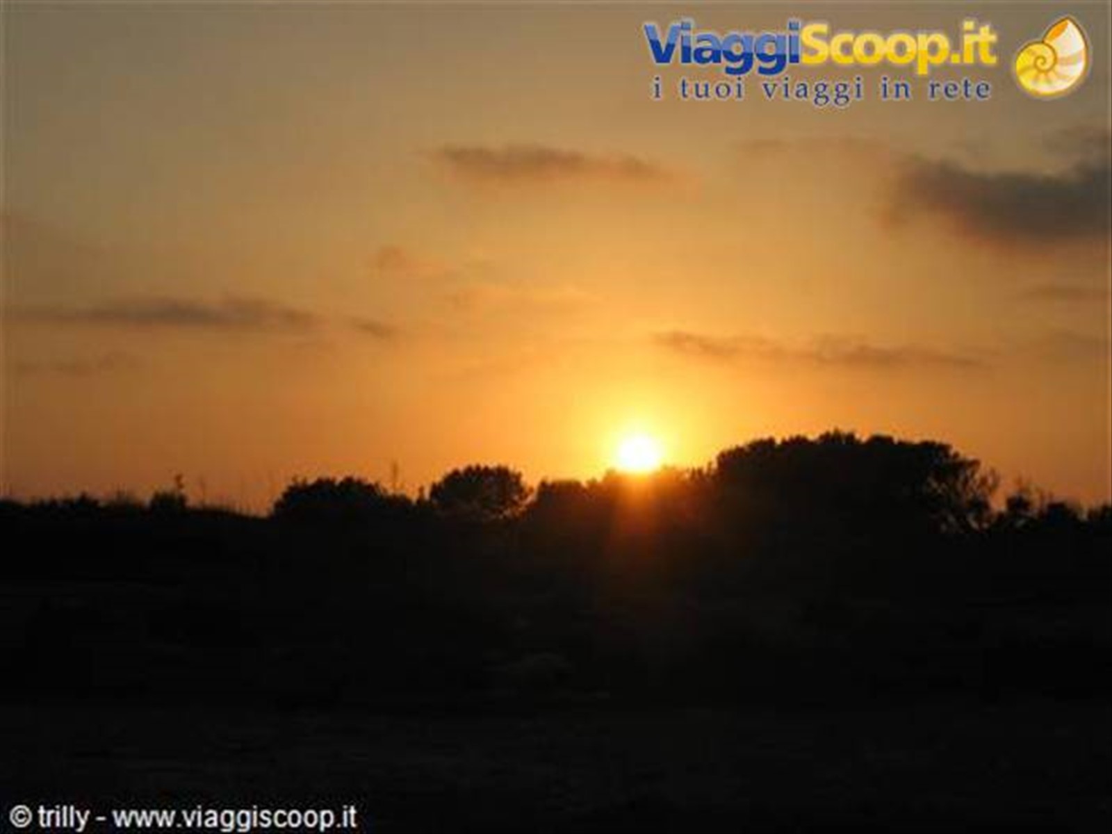 Foto di viaggio in SPAGNA