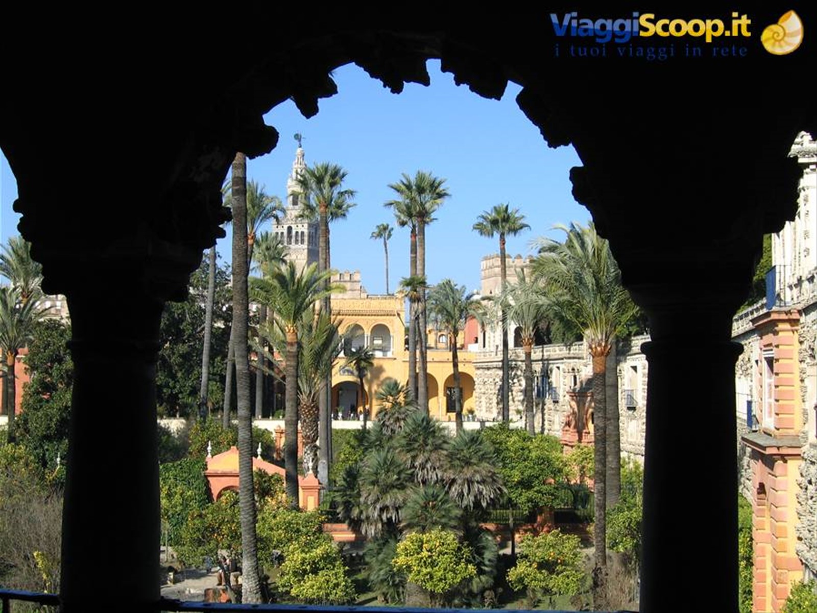 Foto di viaggio in SPAGNA