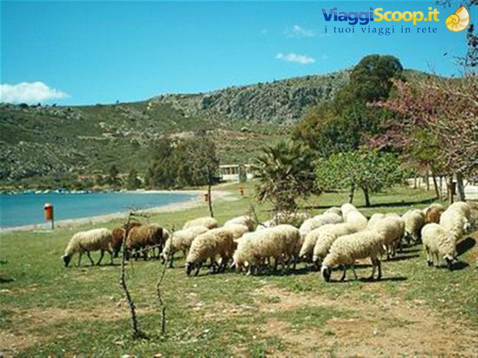 Karathona