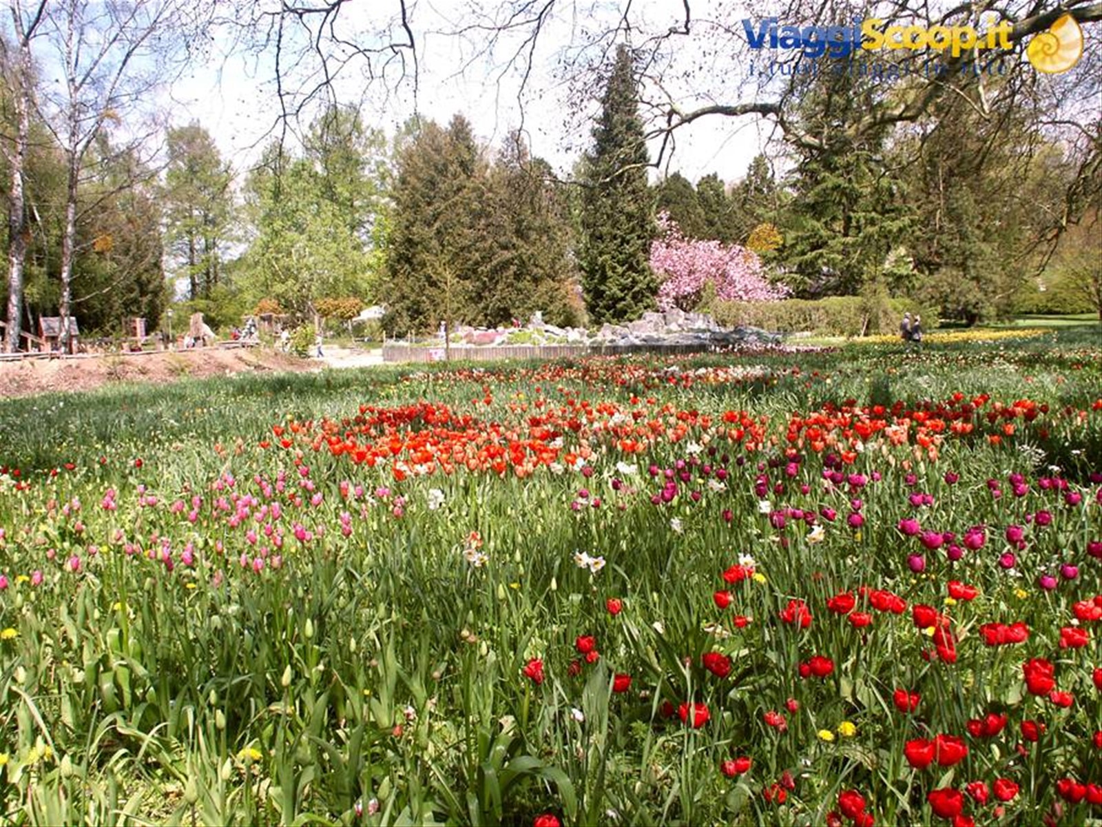 Mainau