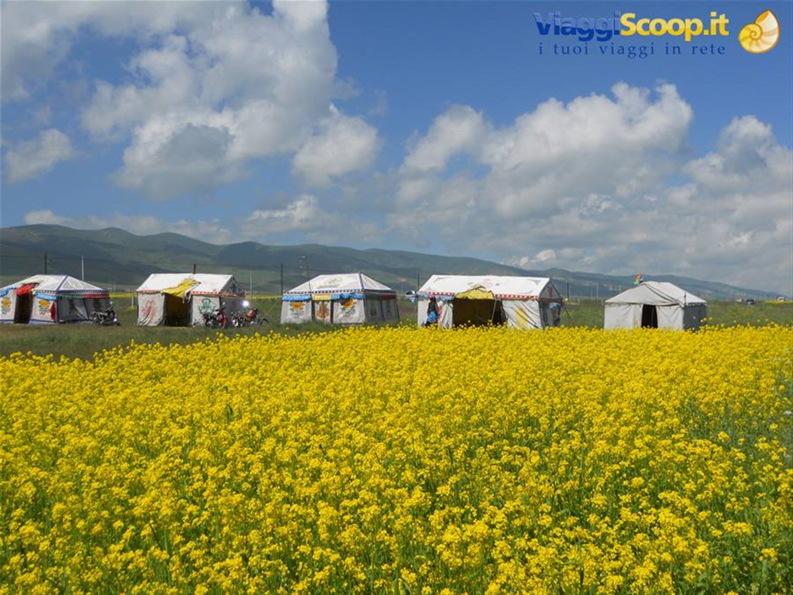 accampamento nei pressi del lago Qinghai - Hu