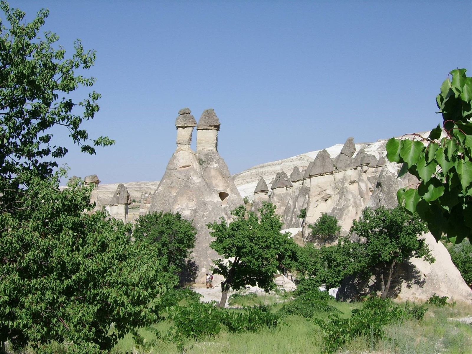 Camini delle fate