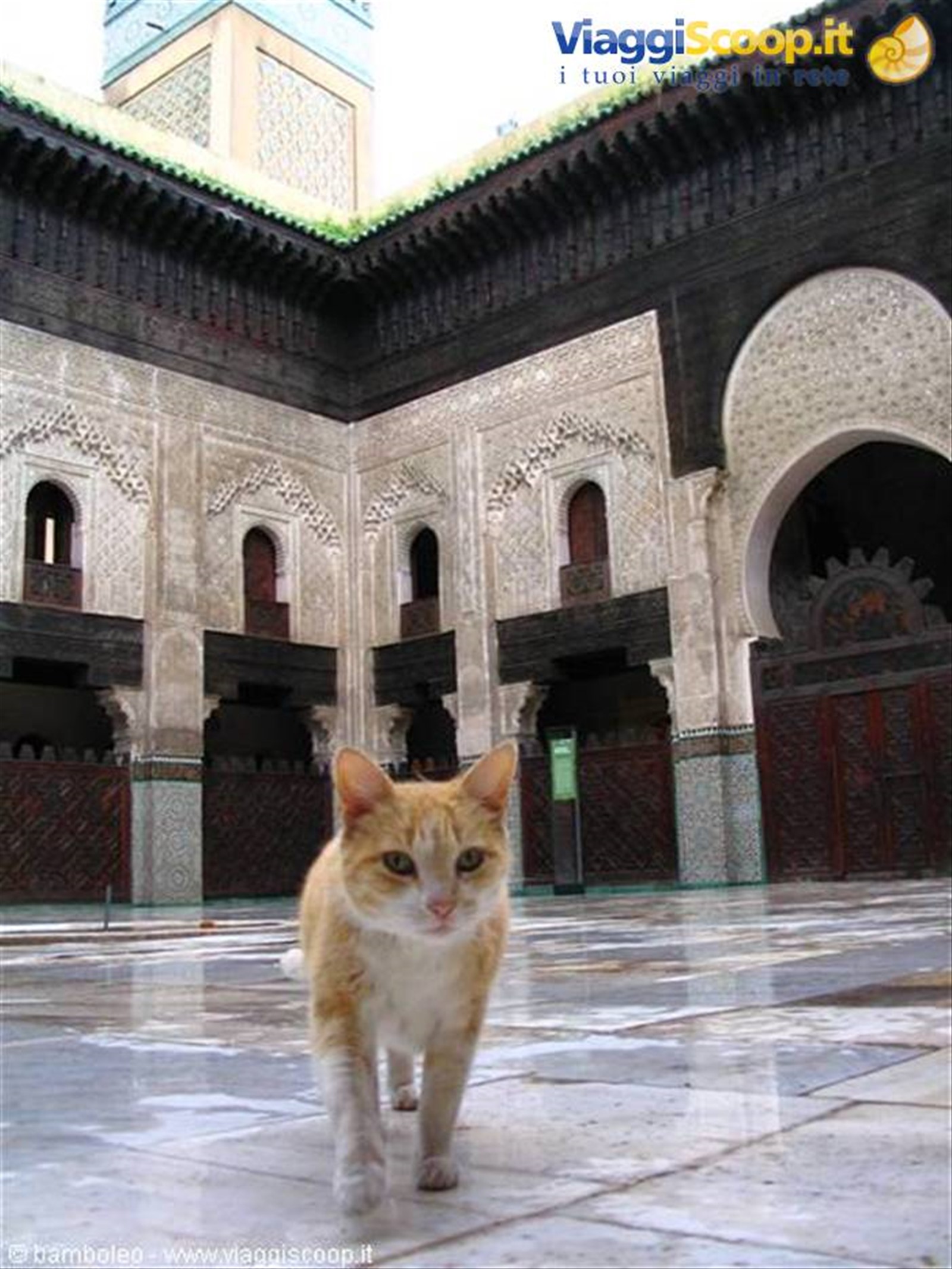 medersa di fes